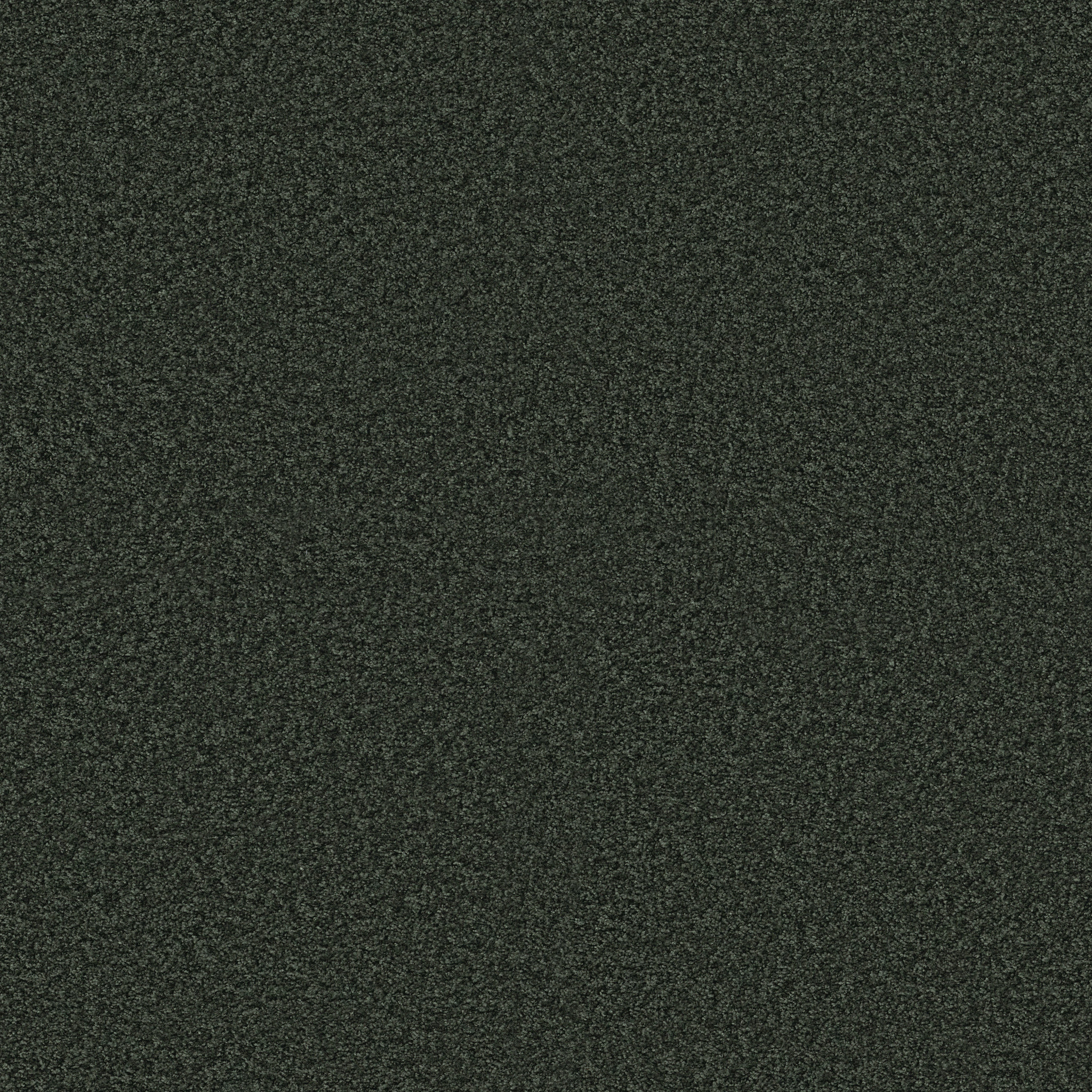 KENTLAND 12' JADEN MAIN