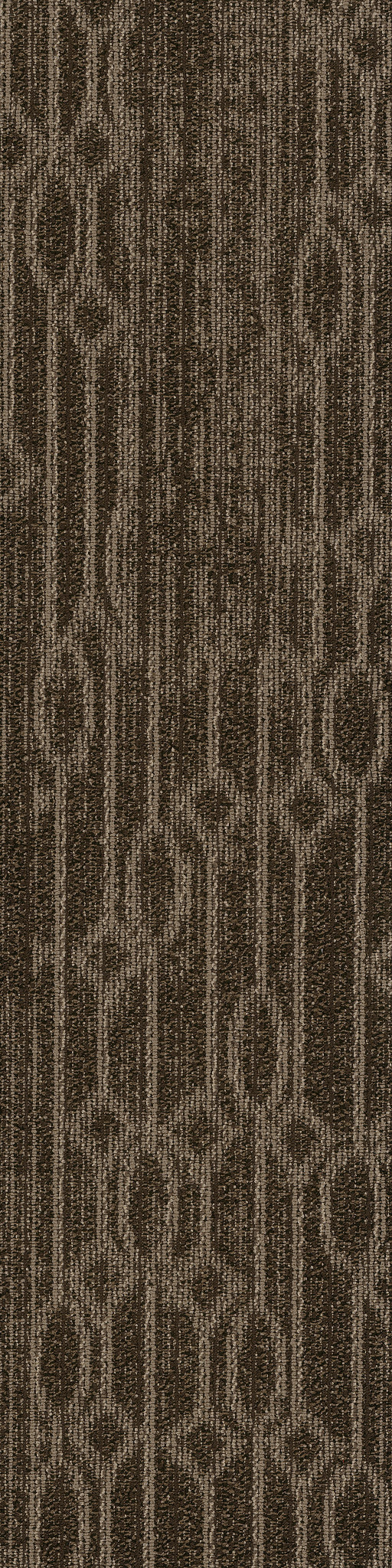 MEDLEY-54875-LYRIC-00710-main-image