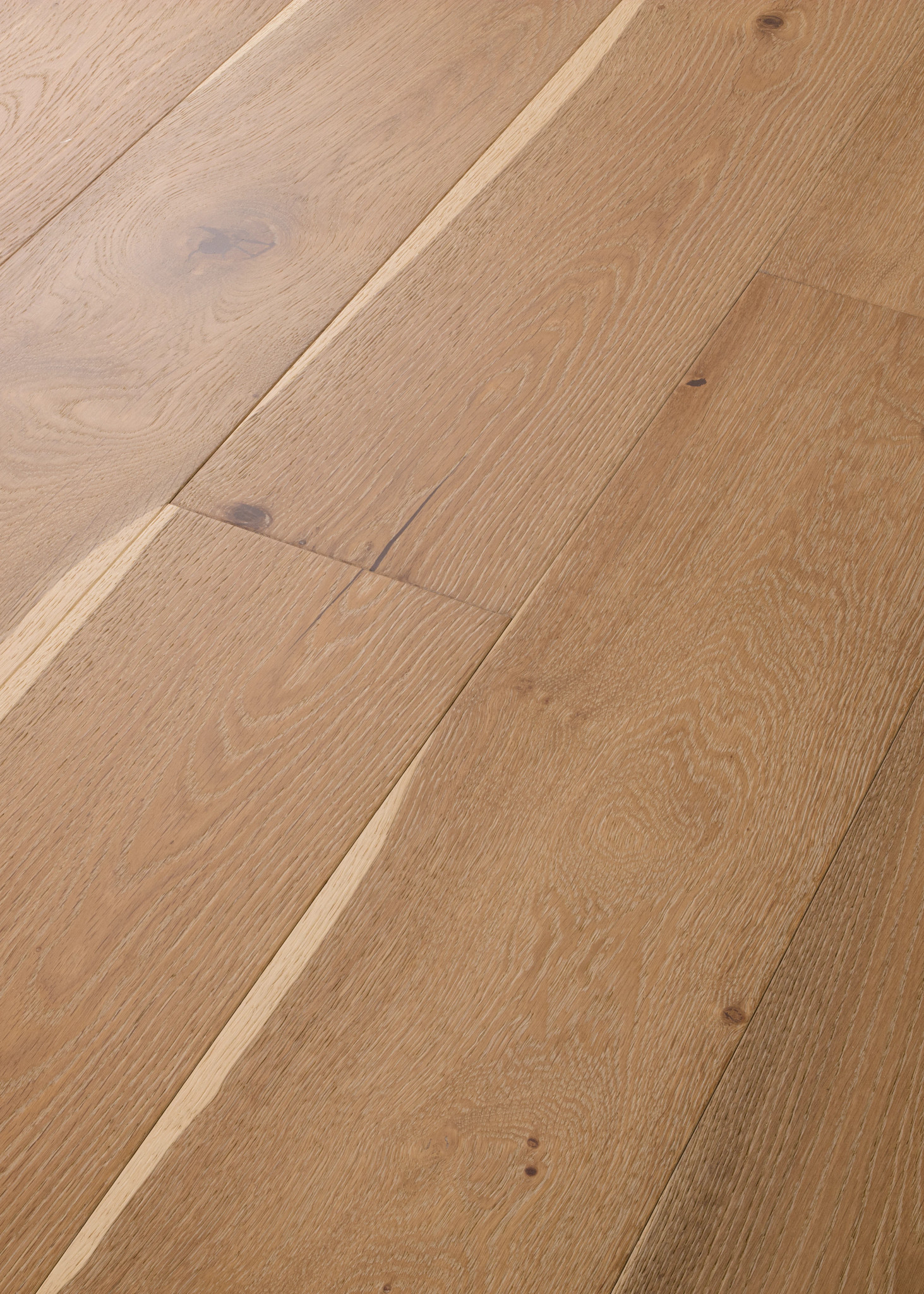 EXPRESSIONS WATERCOLOR ANGLED