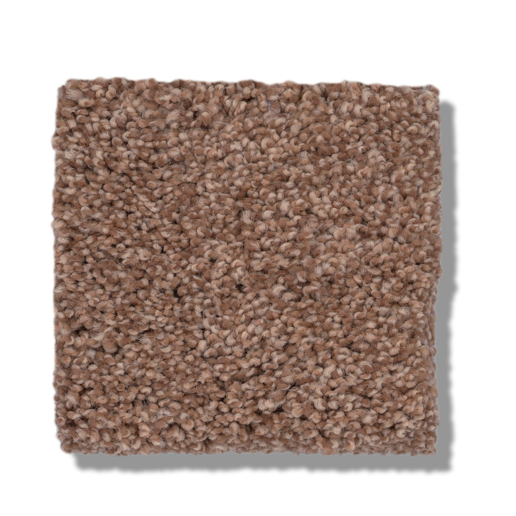 COZY HARBOR I SUNBAKED SWATCH