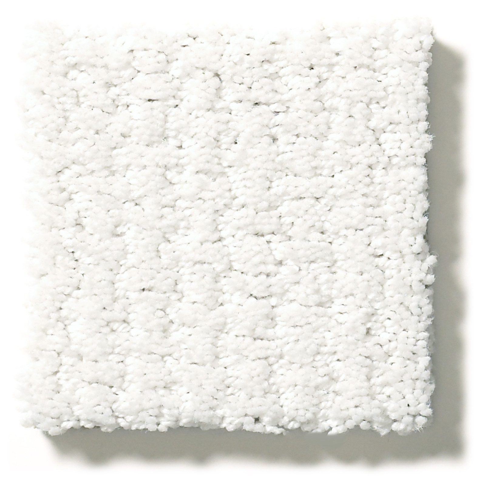 WARM MEMORIES GALLERY OPENING SWATCH