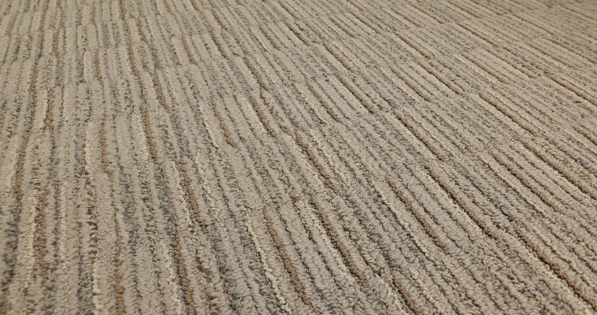 Tone Wheat Field Rotation360