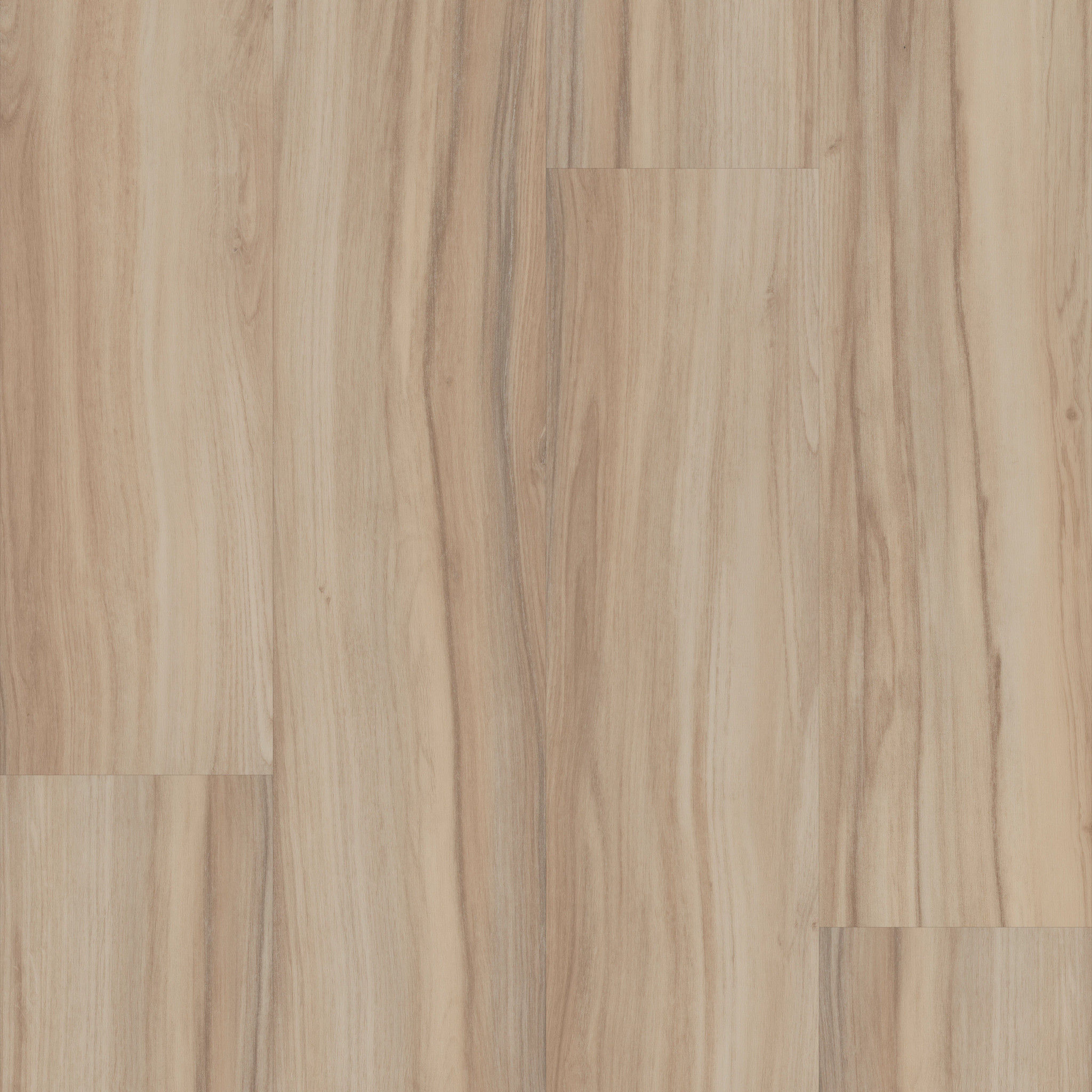 REWILD-5667V-NATIVE-00105-main-image