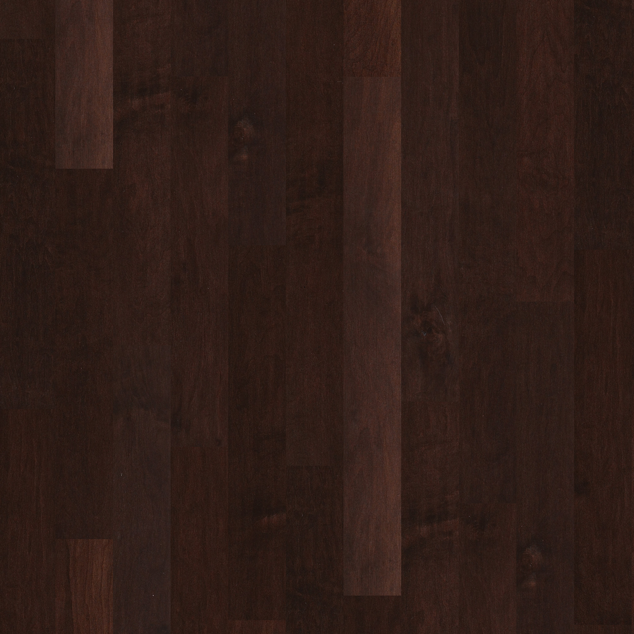 CORAL SPRINGS CONWAY MAIN