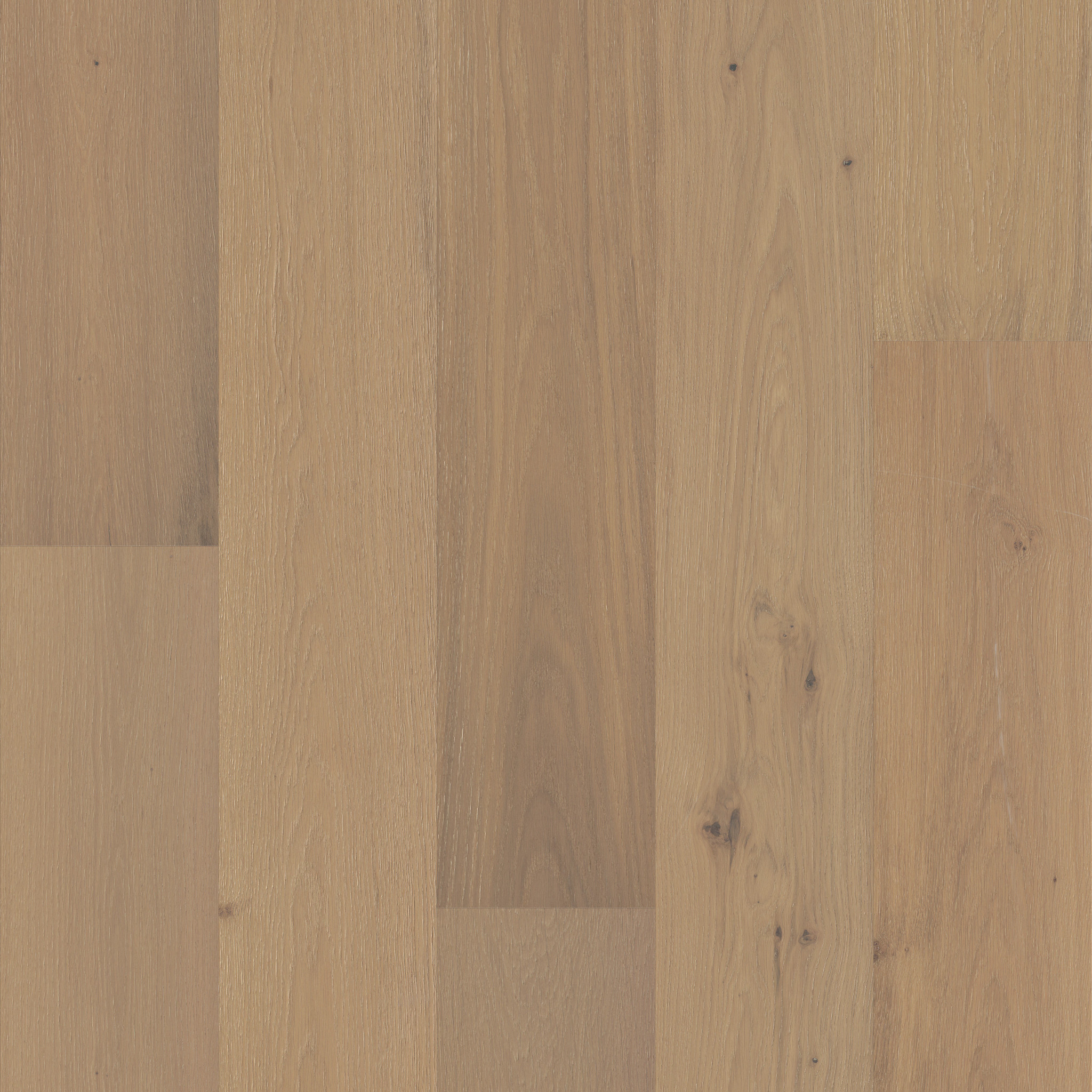 CHATEAU OAK COURTYARD MAIN