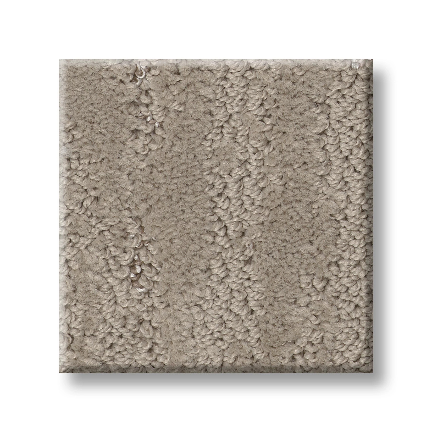 Tranquil Spirit CHIC GREIGE SWATCH