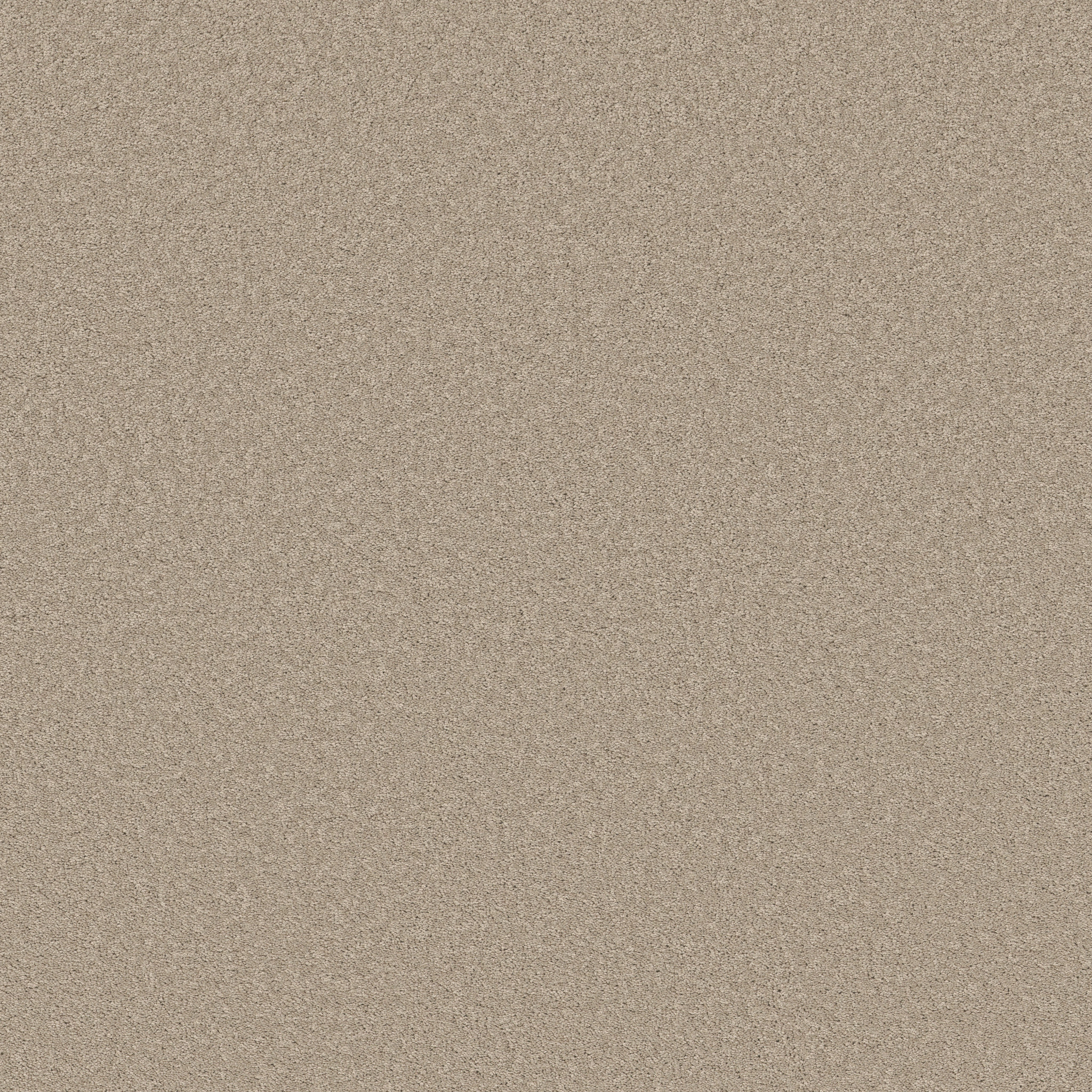 VELVET TOUCH I CHIC GREIGE MAIN