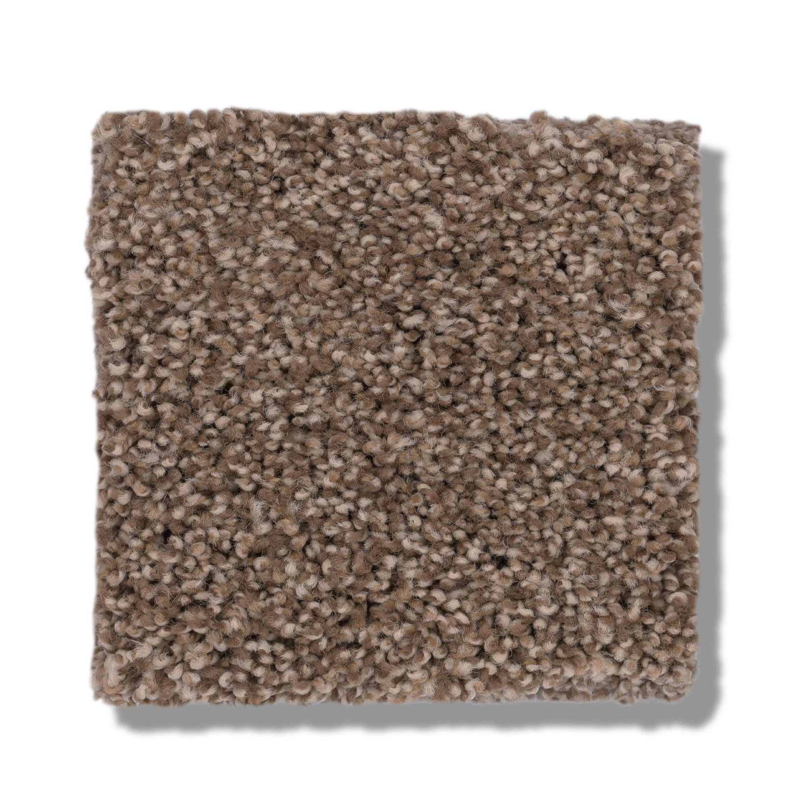 COZY HARBOR II RAW WOOD SWATCH