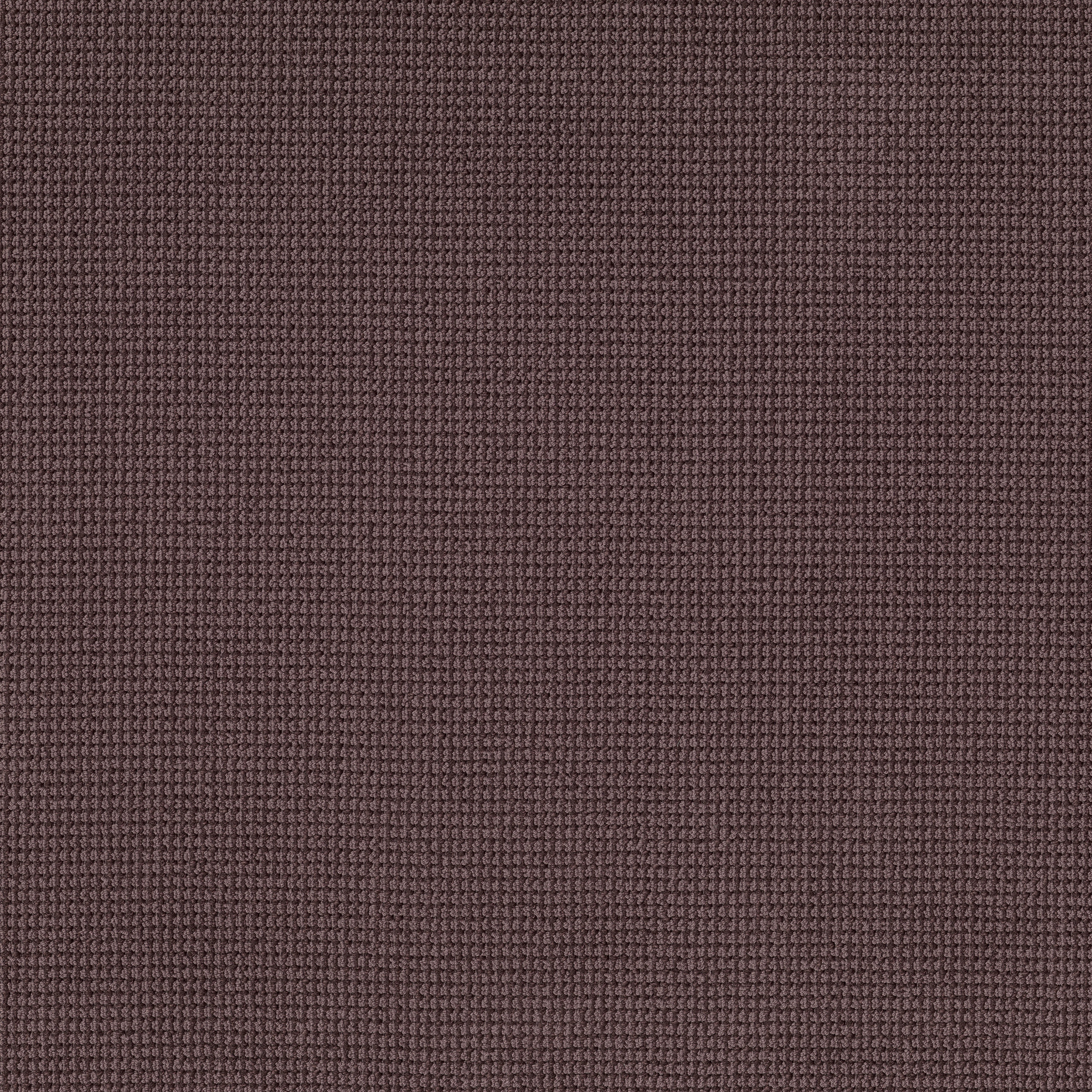 INSPIRED PLUMWOOD MAIN