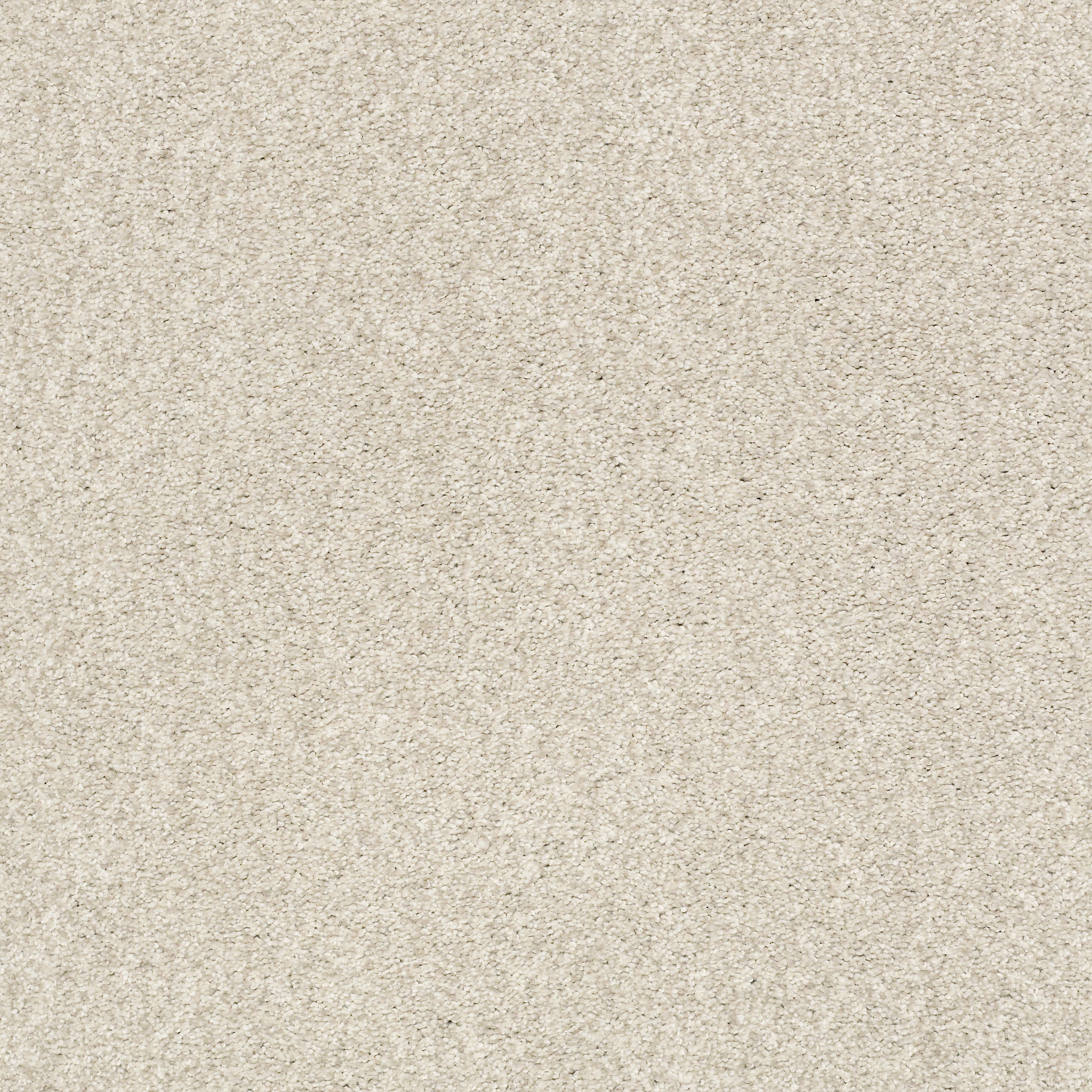 TONAL COMFORT BLUE HOMEMADE ICE CREAM MAIN