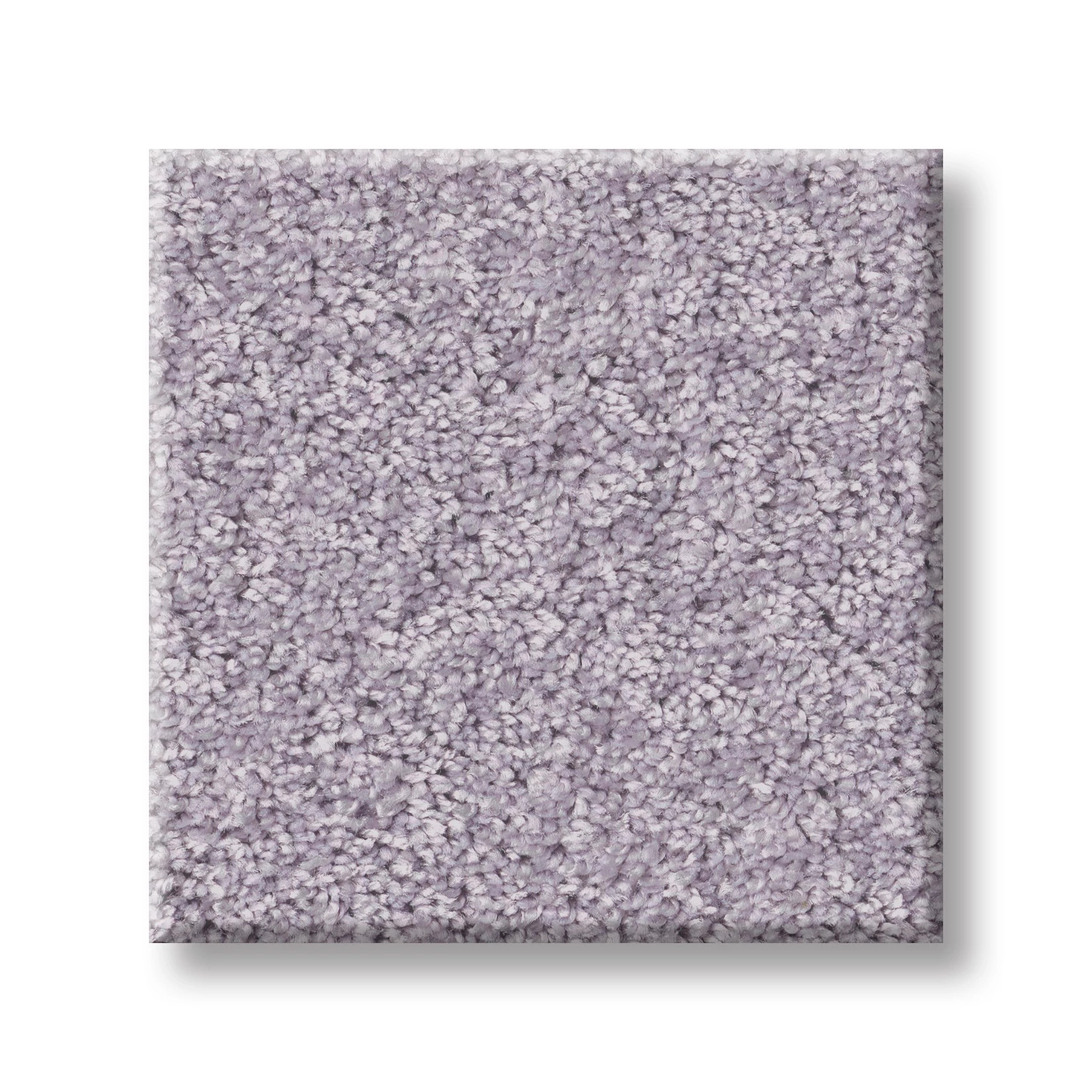 The Bright Side - Pie In The Sky Carpet | Shaw Floors
