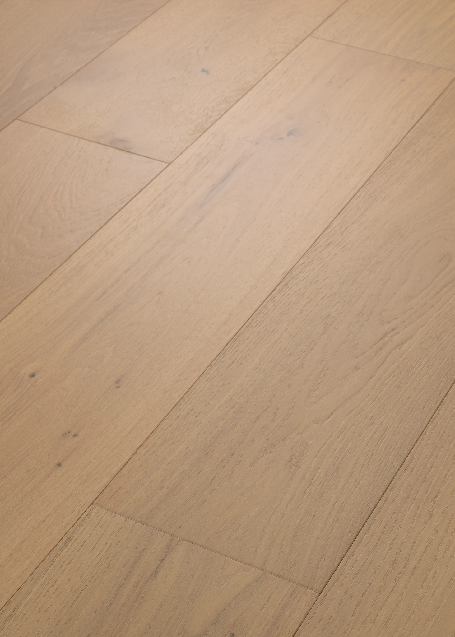 CHATEAU OAK COURTYARD ANGLED