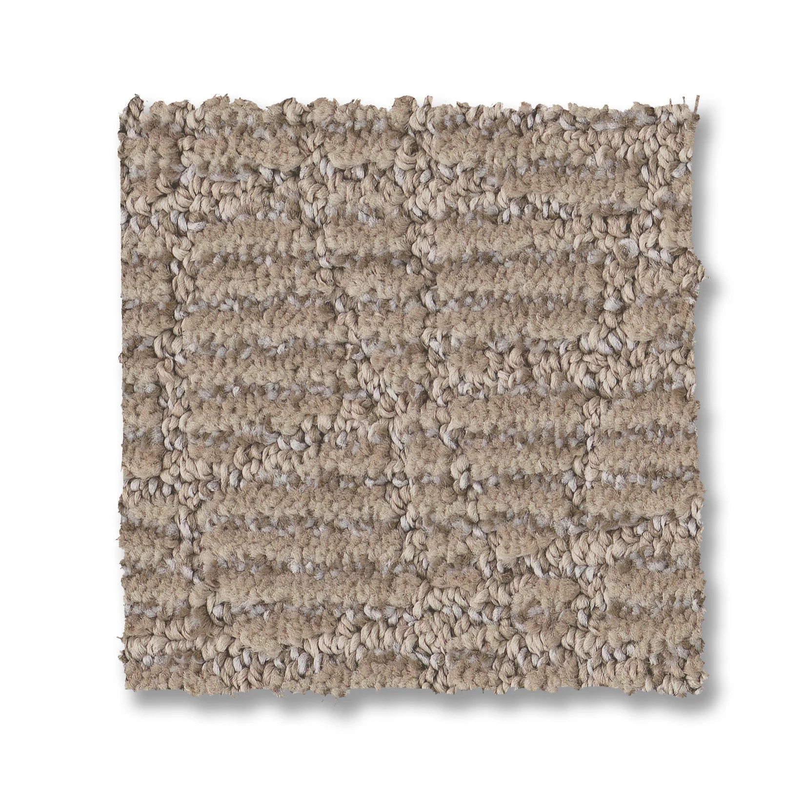 CHIT CHAT CANYON DUST SWATCH