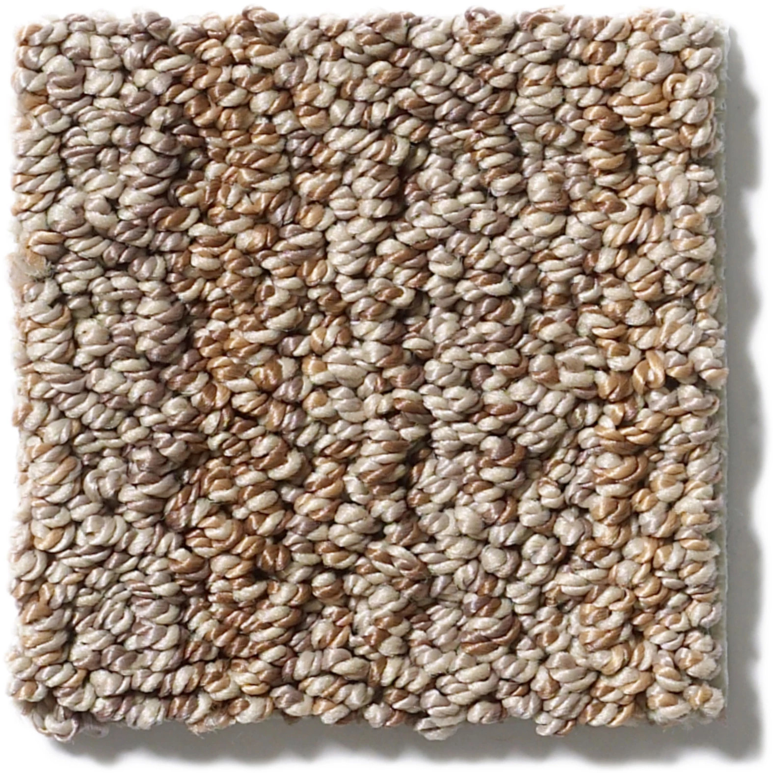 SUNDANCE BUCKAROO SWATCH