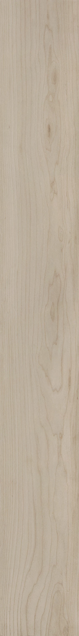 SANDSTONE MAPLE 1TO1