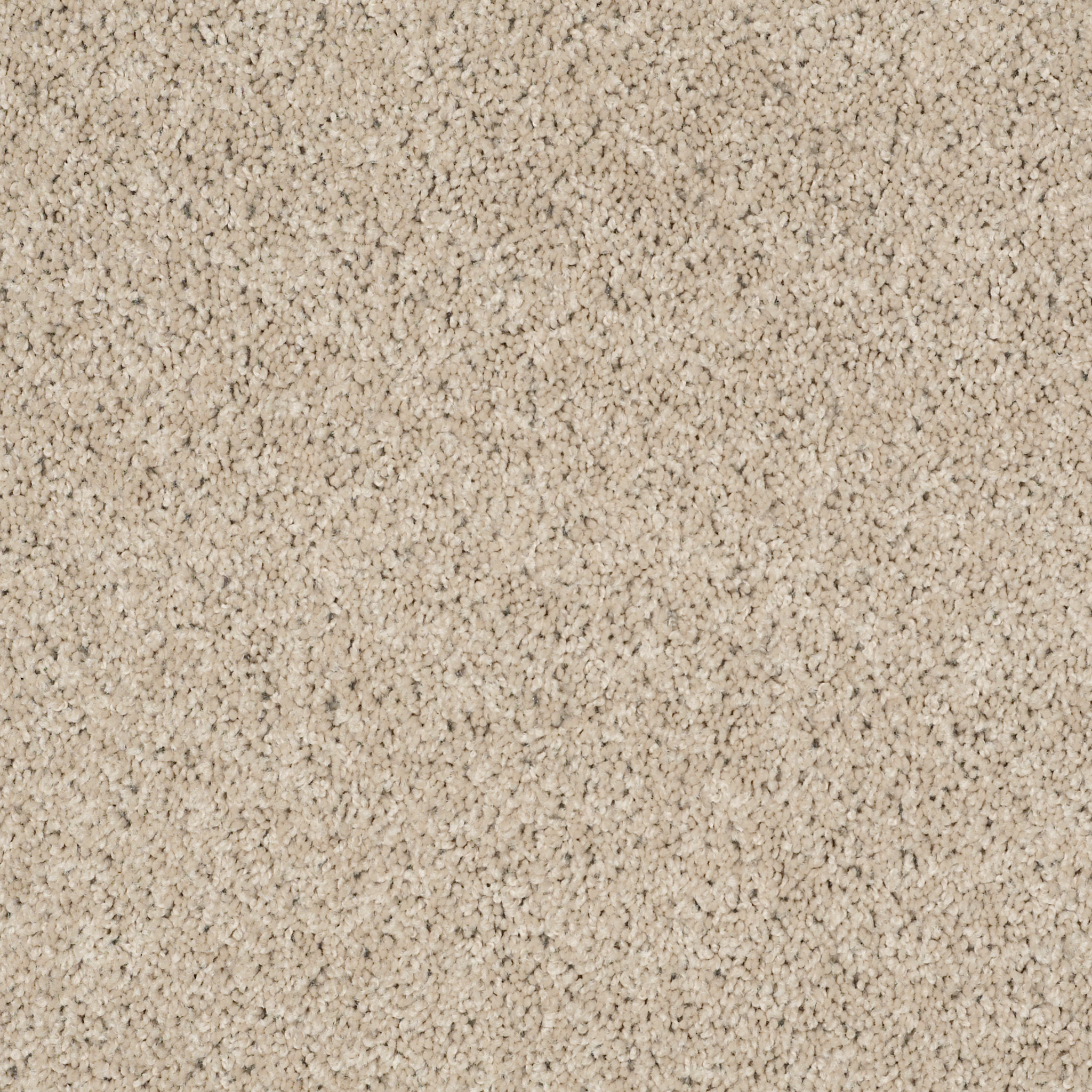 WONDEROUS LIFE (S) BRANDON BEIGE MAIN