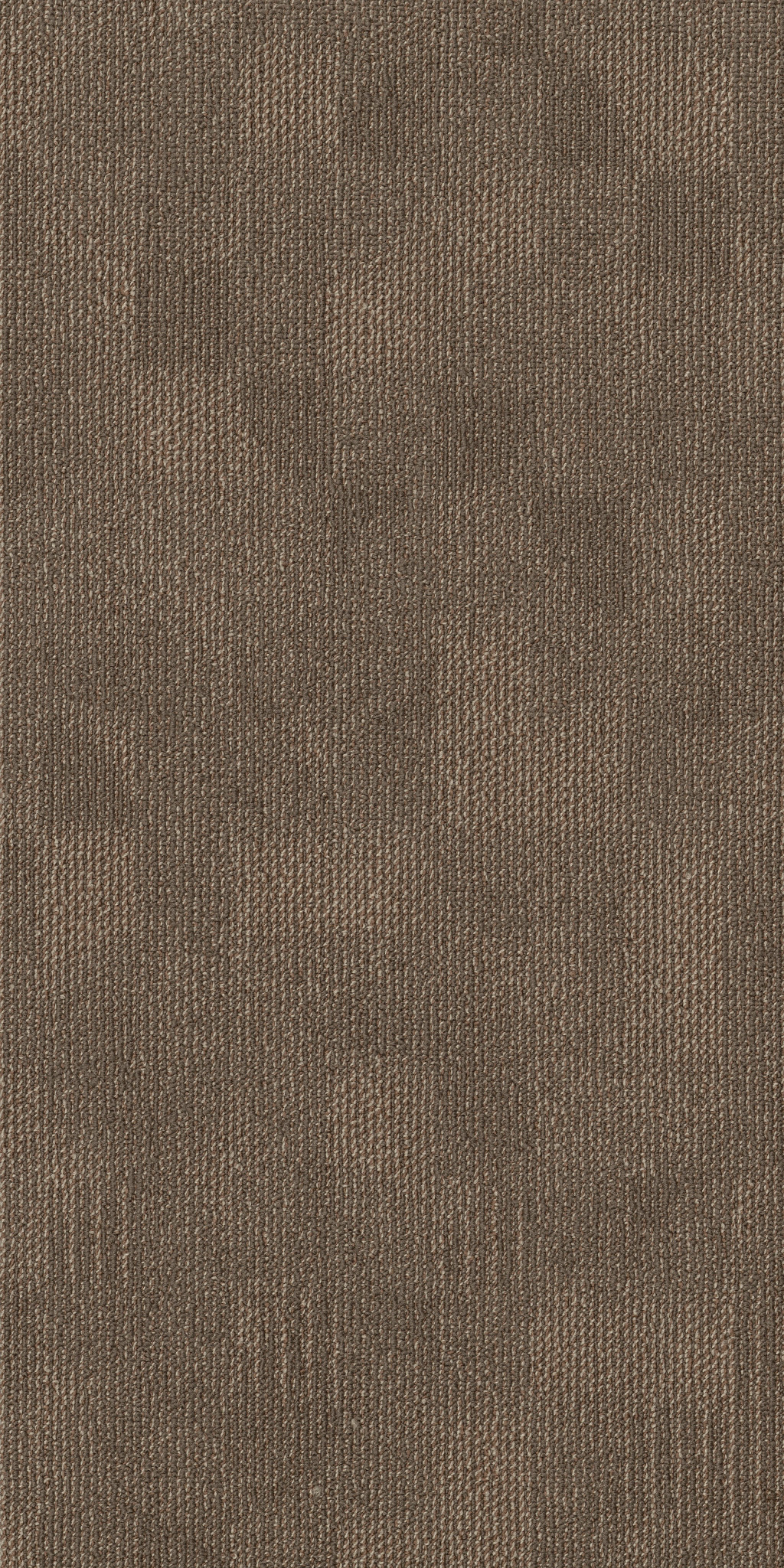 REFOCUS-55005-EVOLVE-00200-main-image