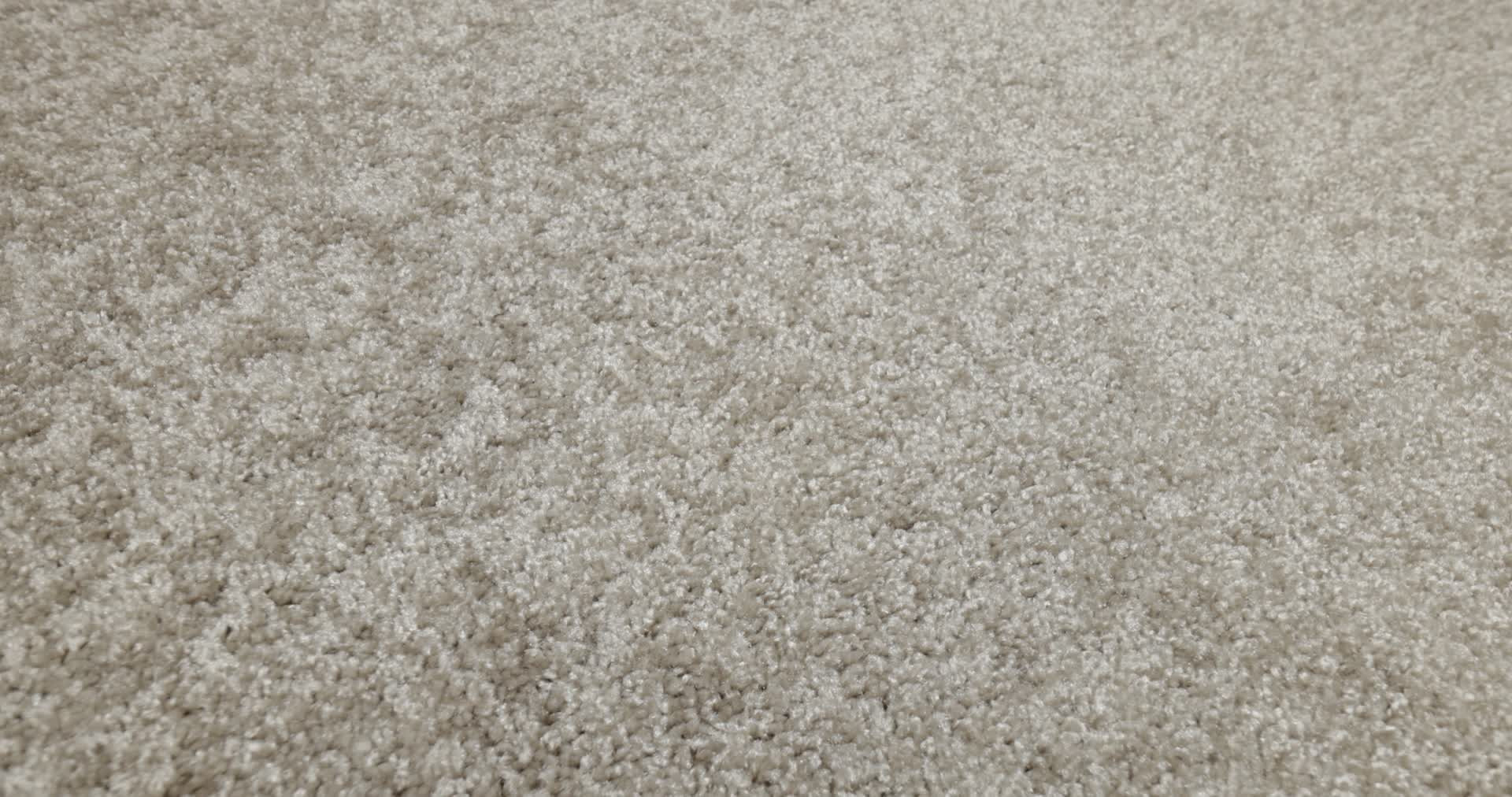 DAKOTA SPRINGS ABALONE 360PROD