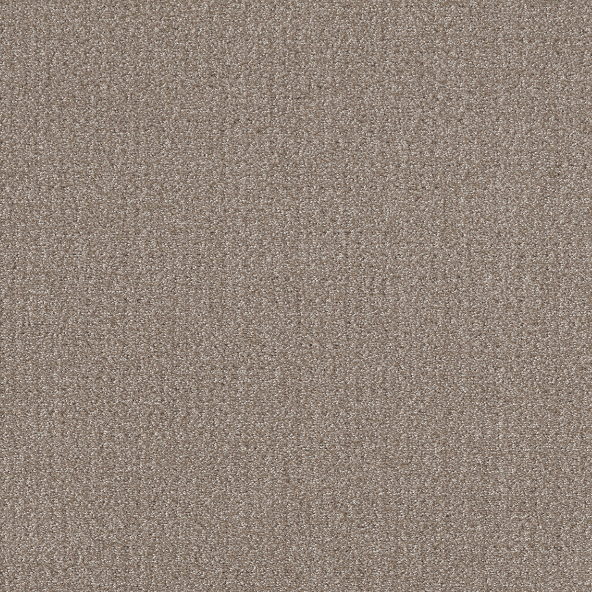 TRANSLATE SIMPLY TAN MAIN