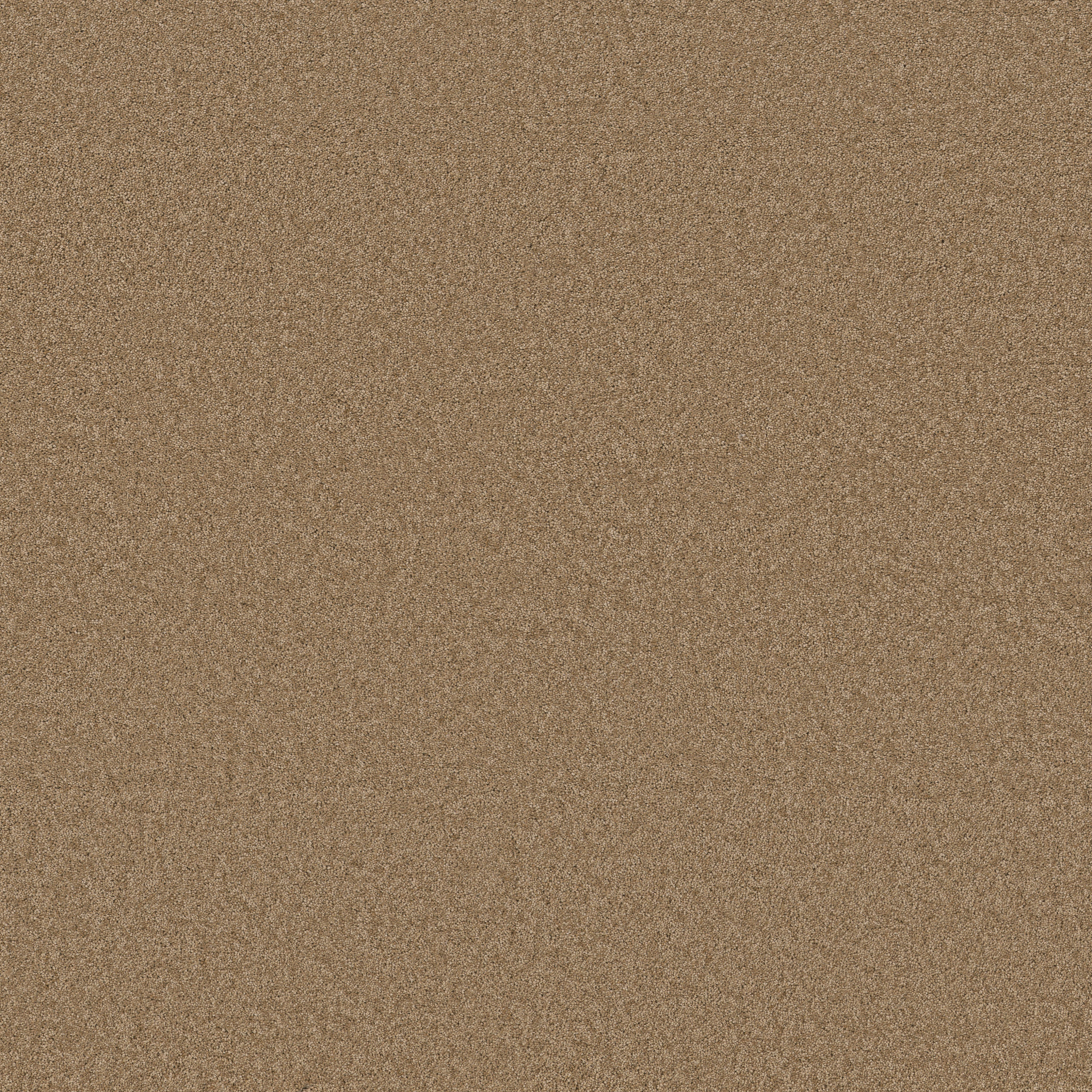 エンテャンティー　enchanty. Enchanting - 100% ANSO® High Performance Nylon in Prairie