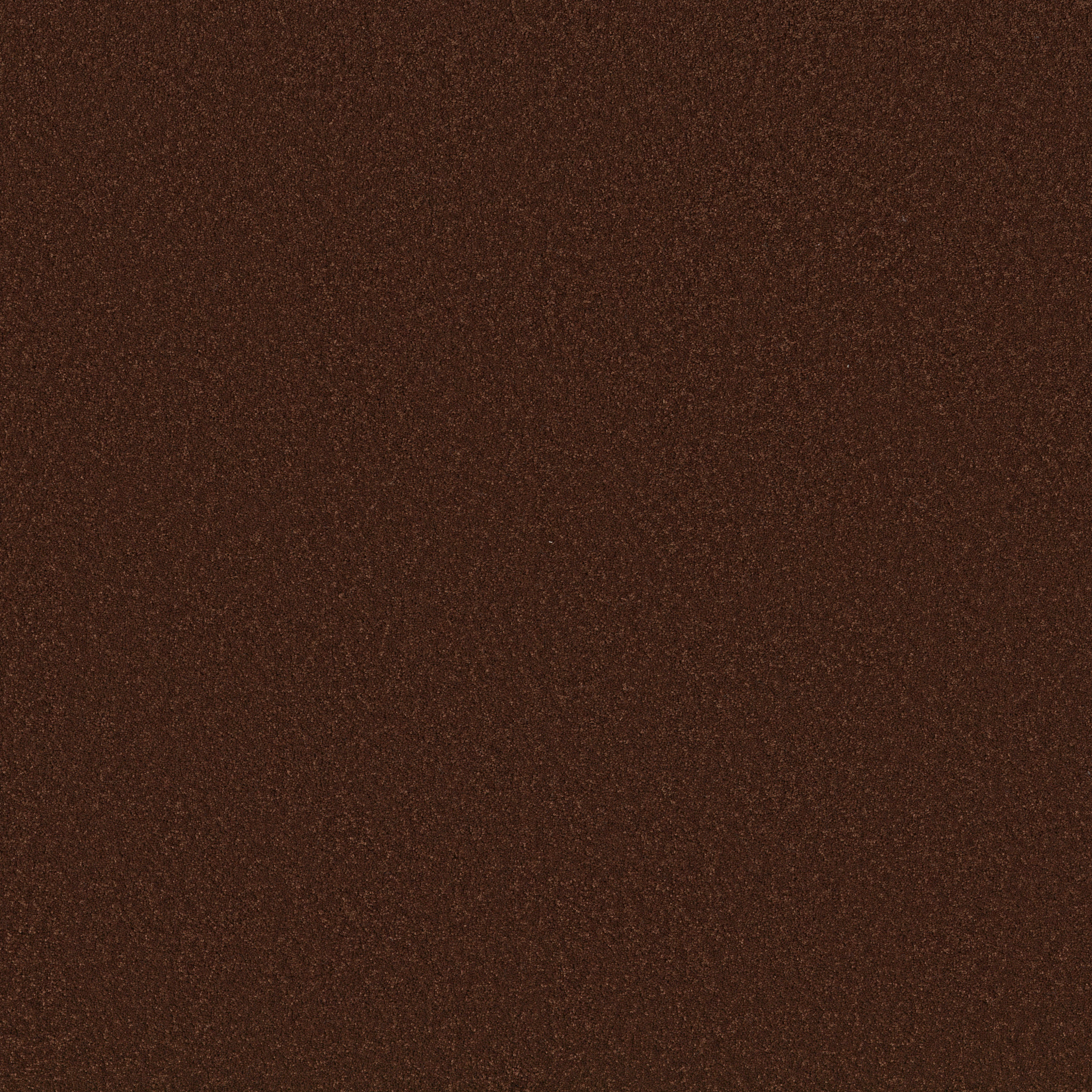 ENDURING CHARM CINNABAR MAIN