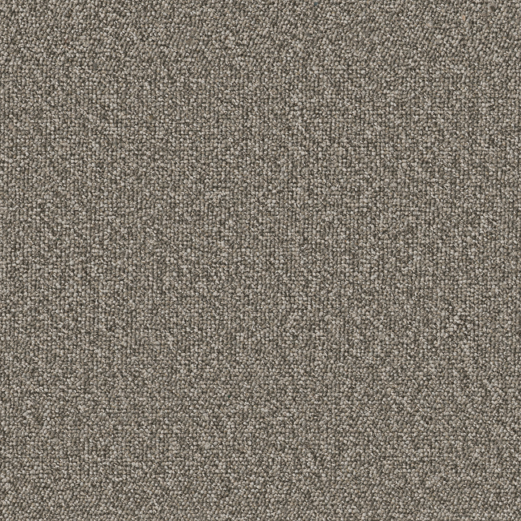 AVENUE-54989-JOHNSON-00704-main-image