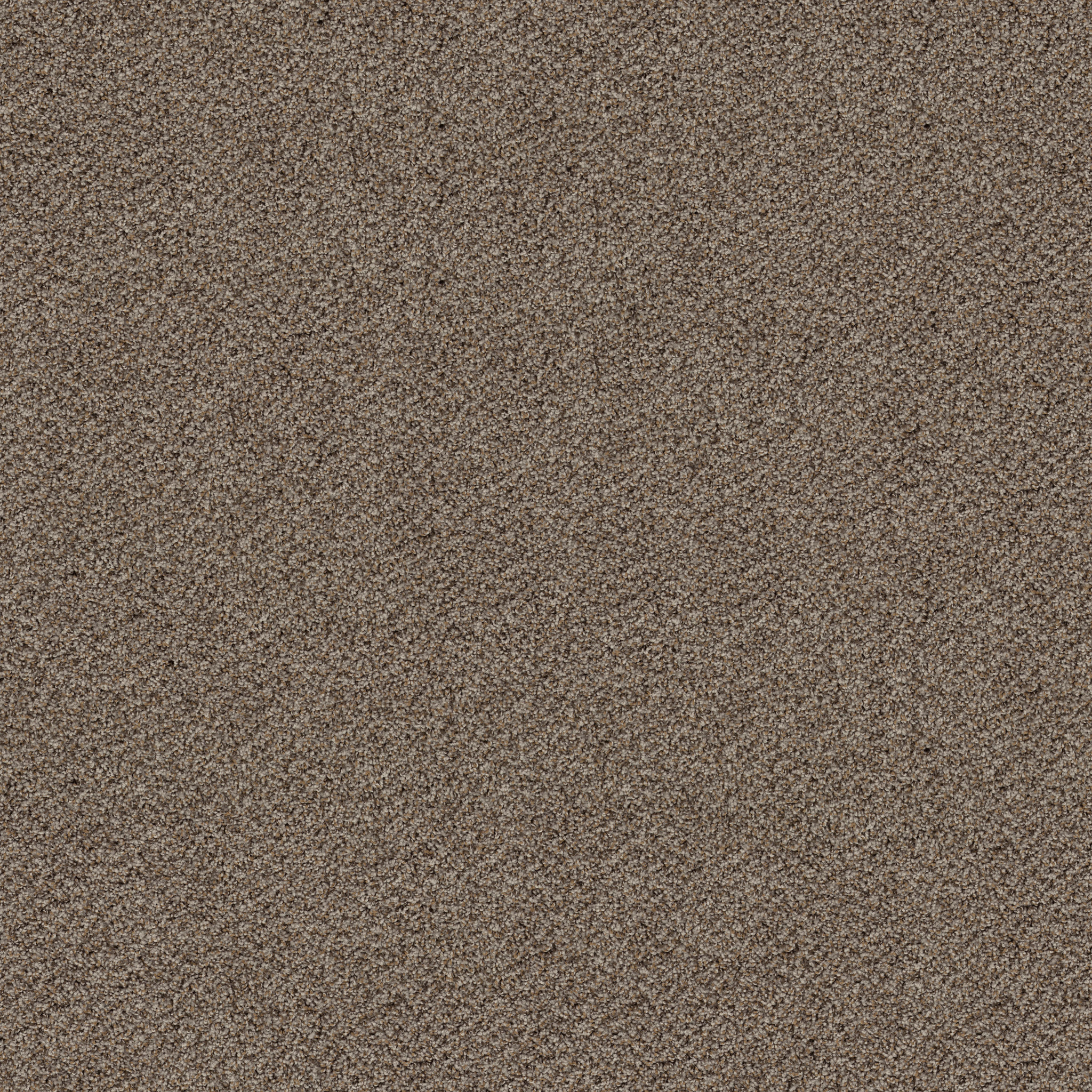 BREAK FREE INCOGNITO MAIN