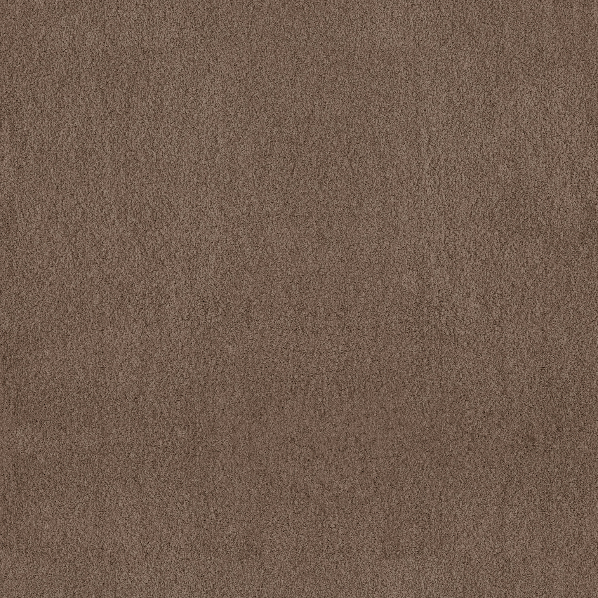 LUXE FEEL II PEBBLE PATH MAIN