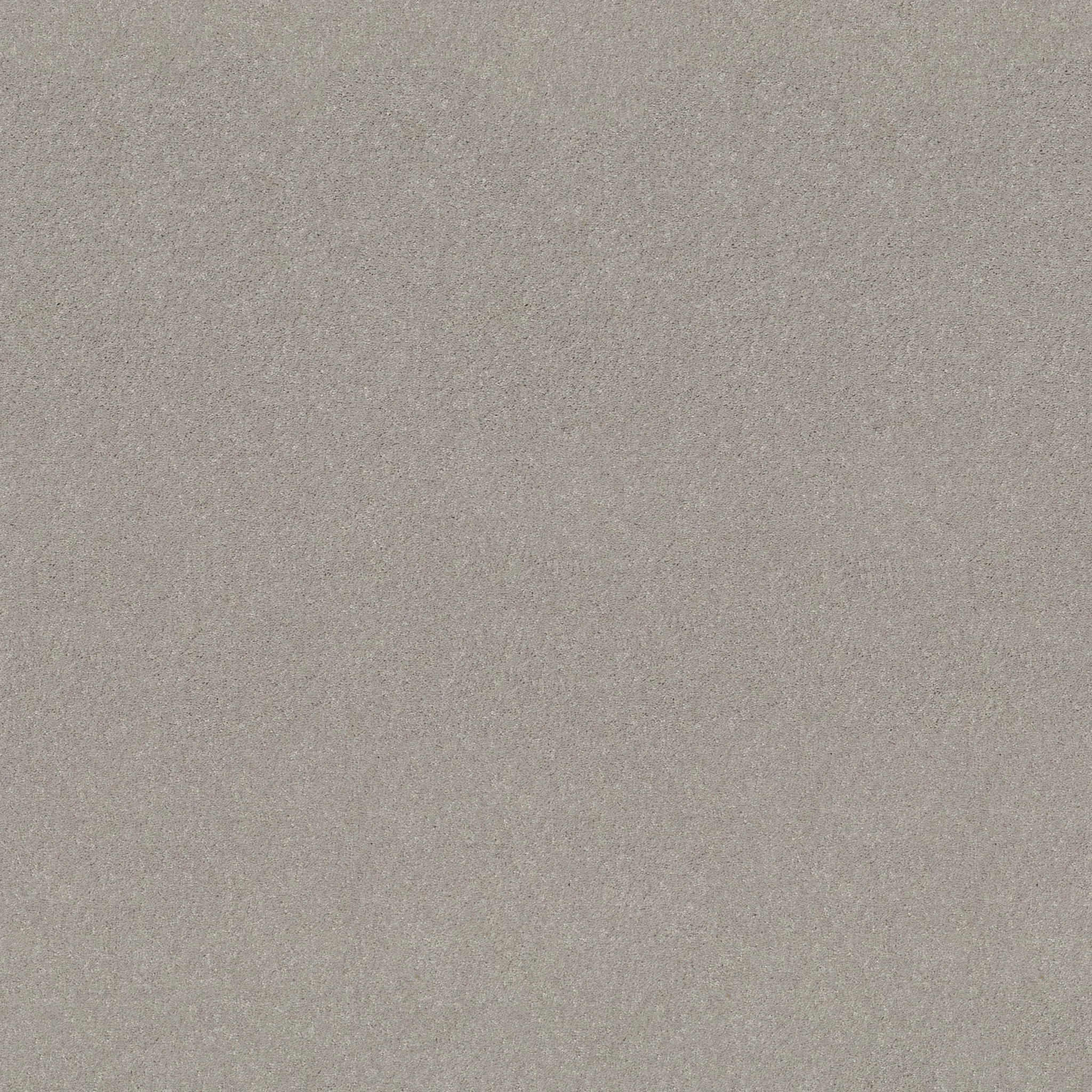 BEAUTIFULLY SIMPLE I 15' SHEER SILVER MAIN