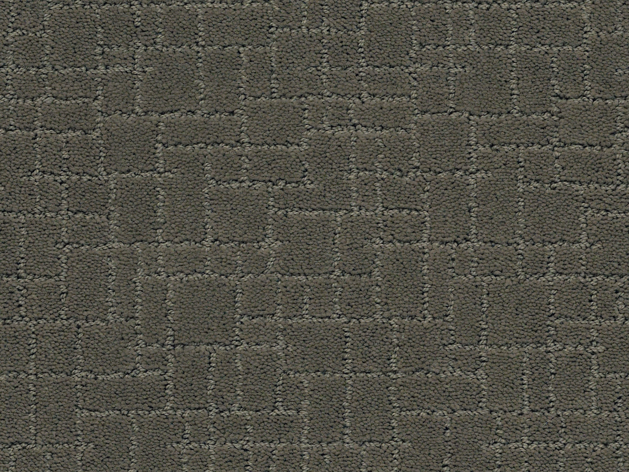 FAUX PAW SMOKED OYSTER MAIN