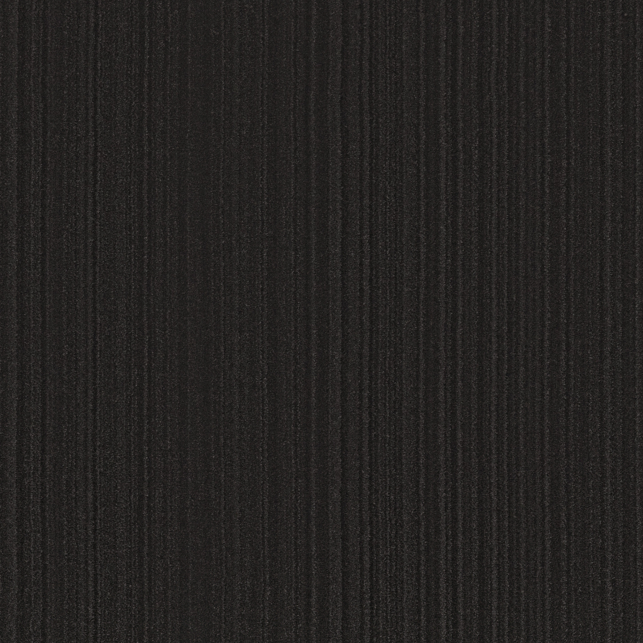 MAGNIFIQUE WROUGHT IRON MAIN