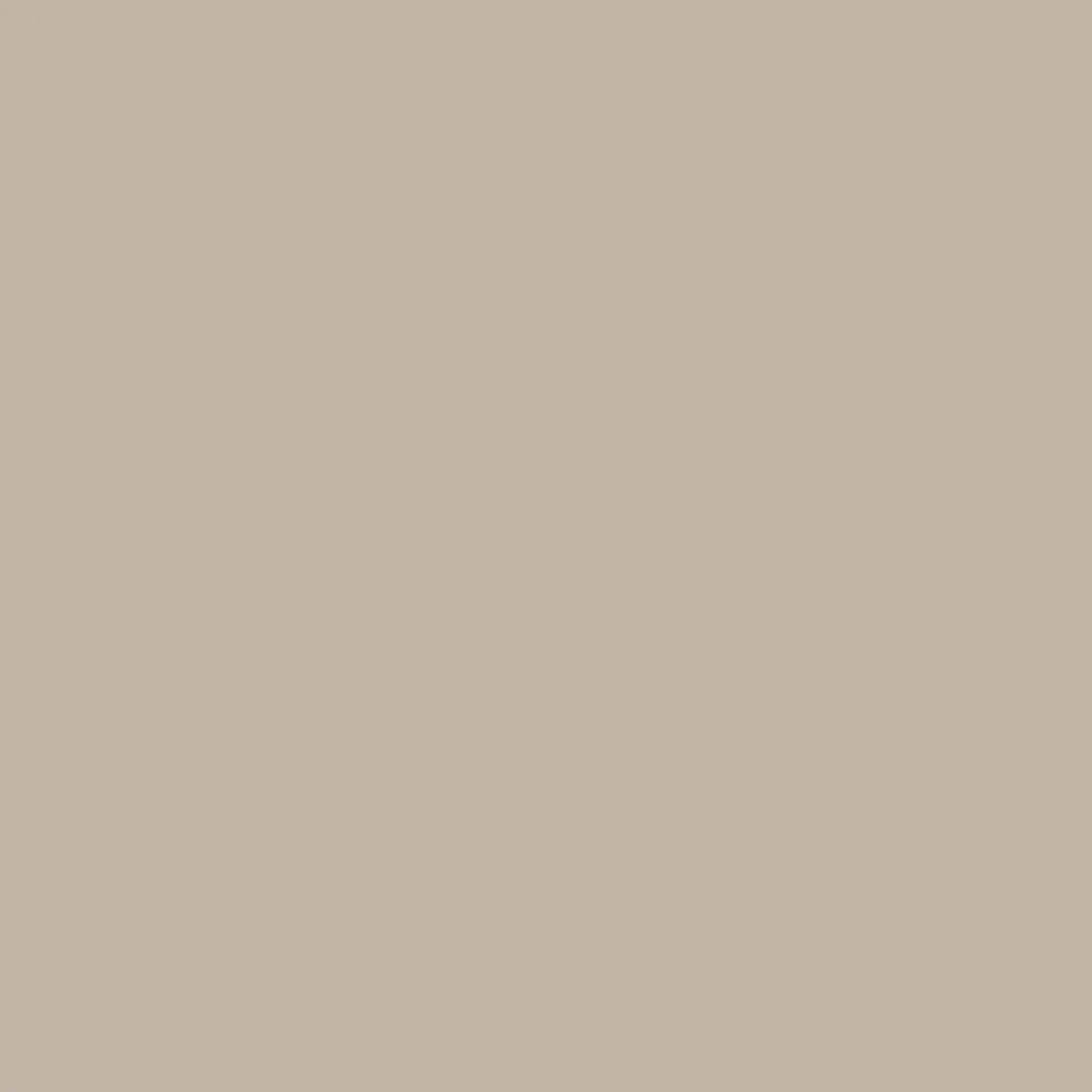 Canvas 00021