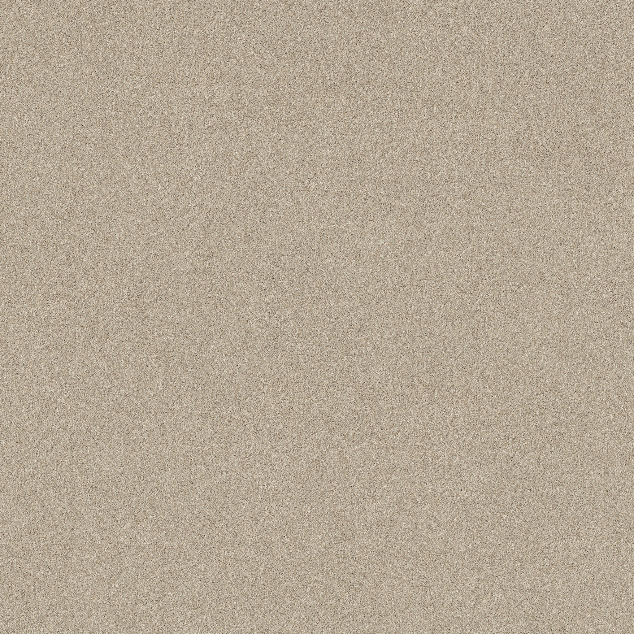 NEW MEMORIES T CAFE LATTE MAIN