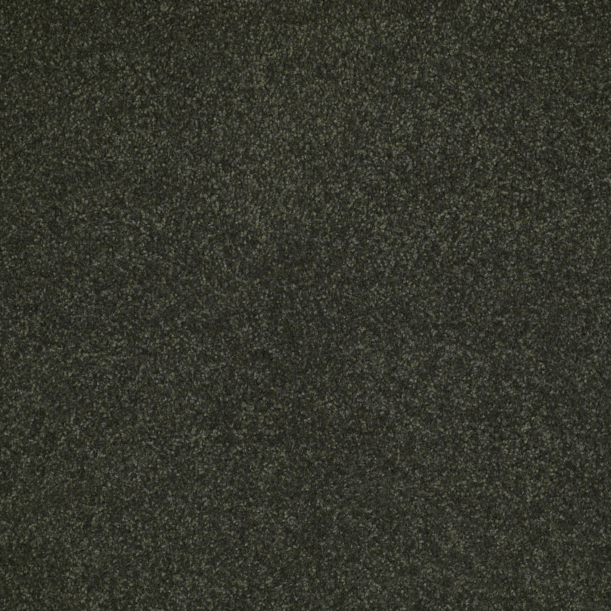 SANDY HOLLOW CLASSIC IV 12' LILLY PAD MAIN