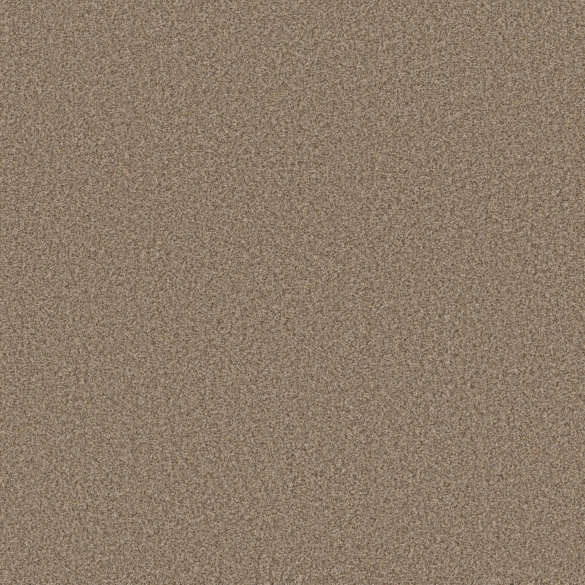 FABULOUS DISTANT LAND MAIN