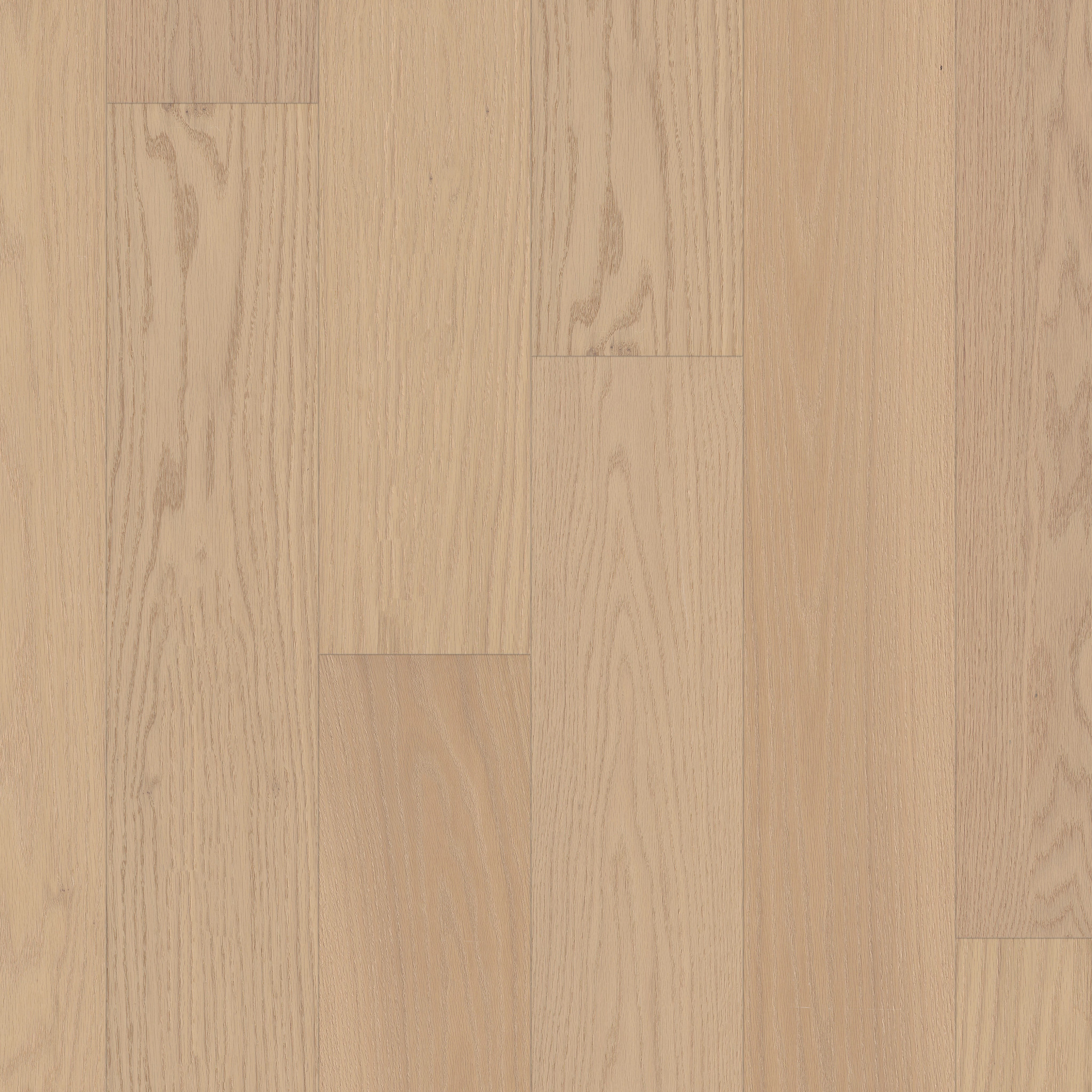 SIGNATURE OAK PREMIER MAIN