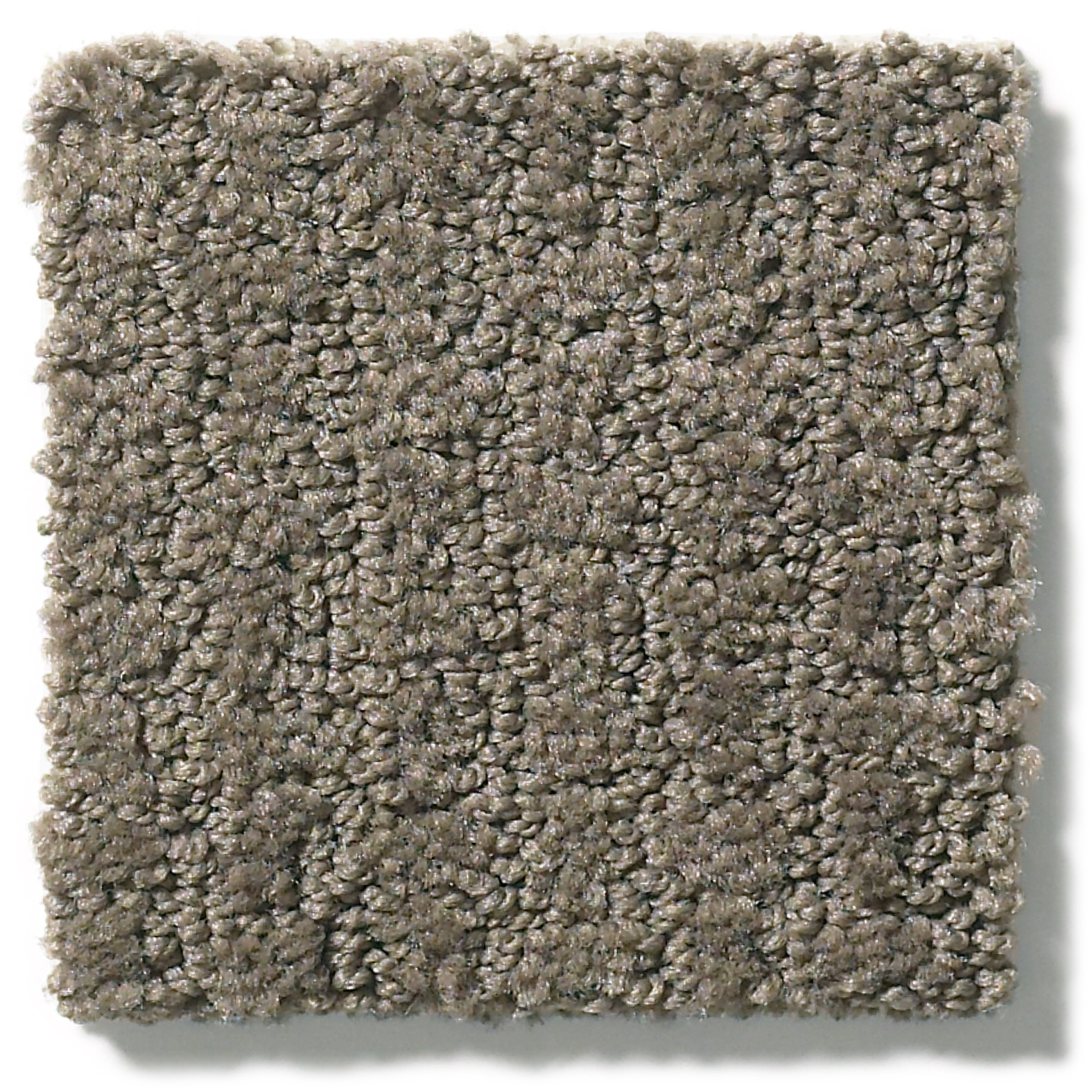 COMPLETE CONTROL FRONT GATE SWATCH