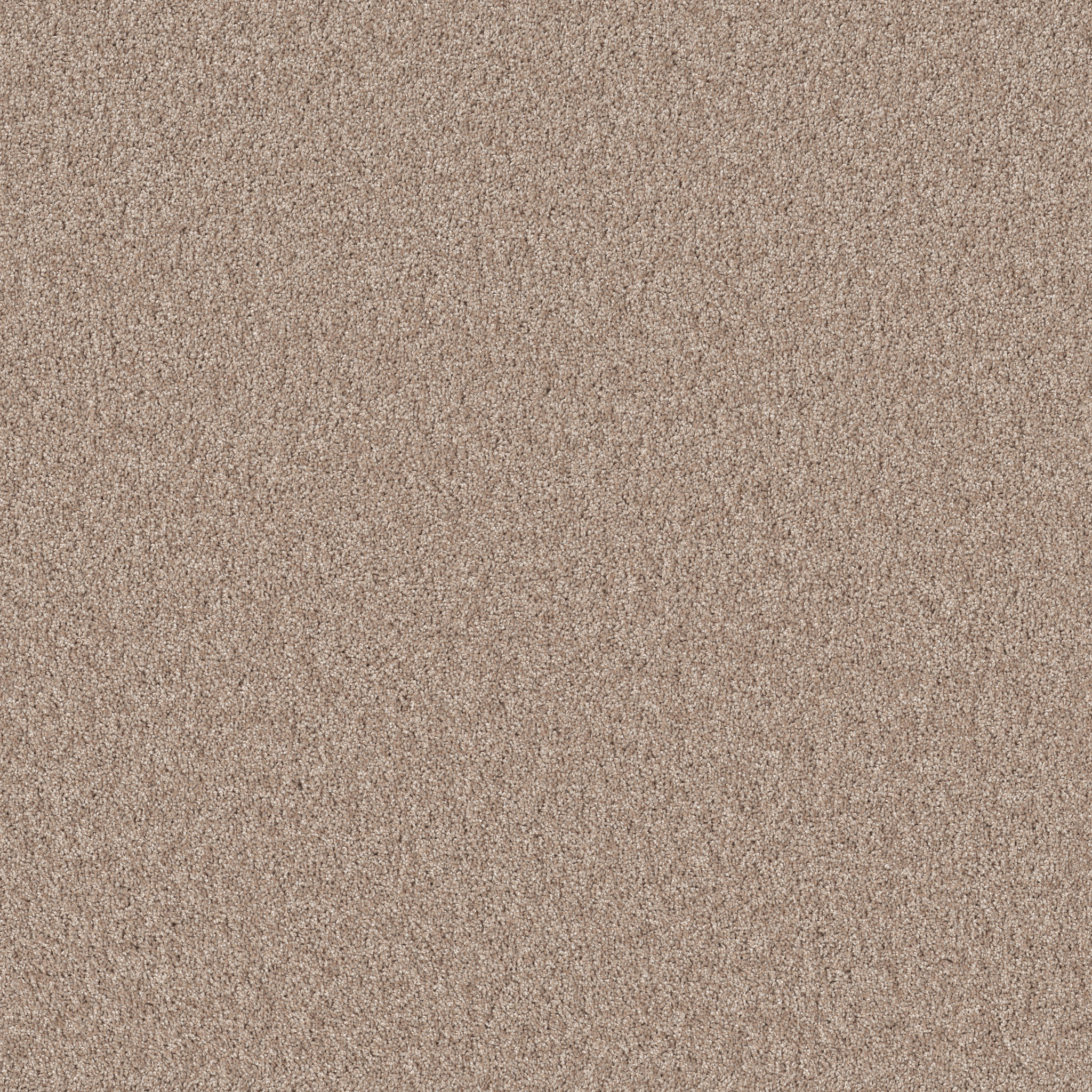 AGILITY CROISSANT MAIN