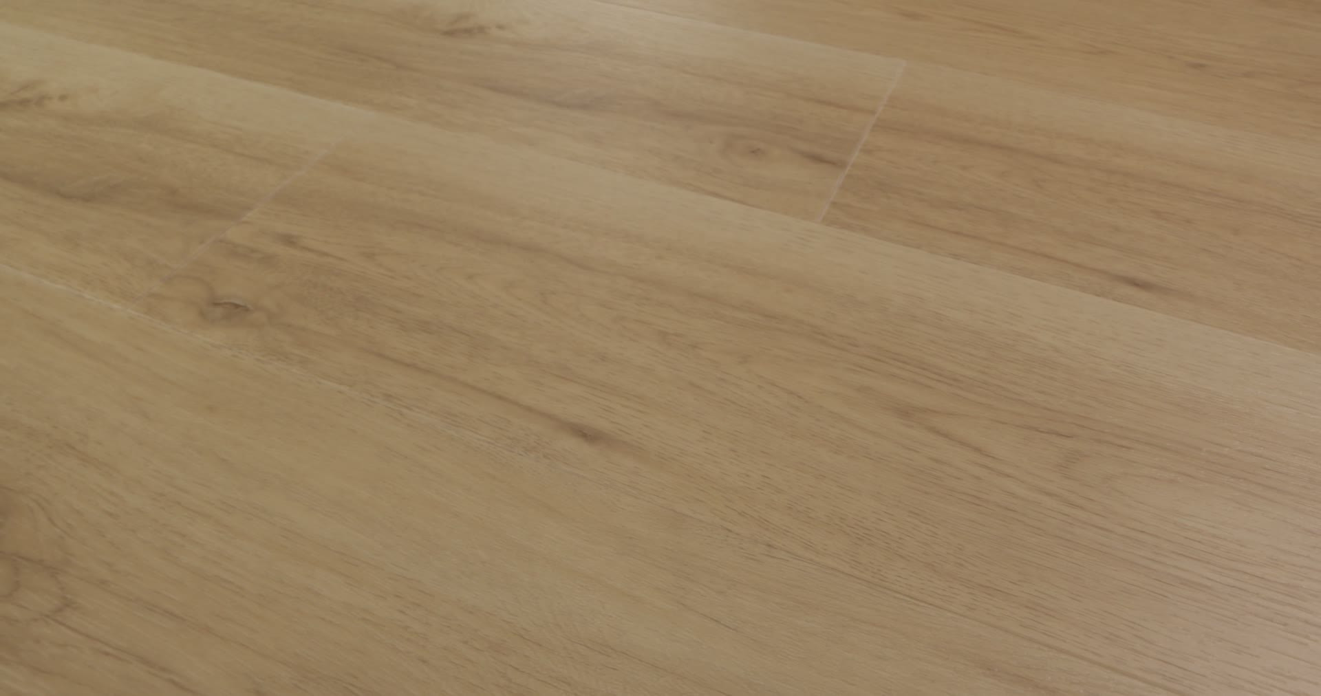 IGNITE ASHEN SAND 360PROD