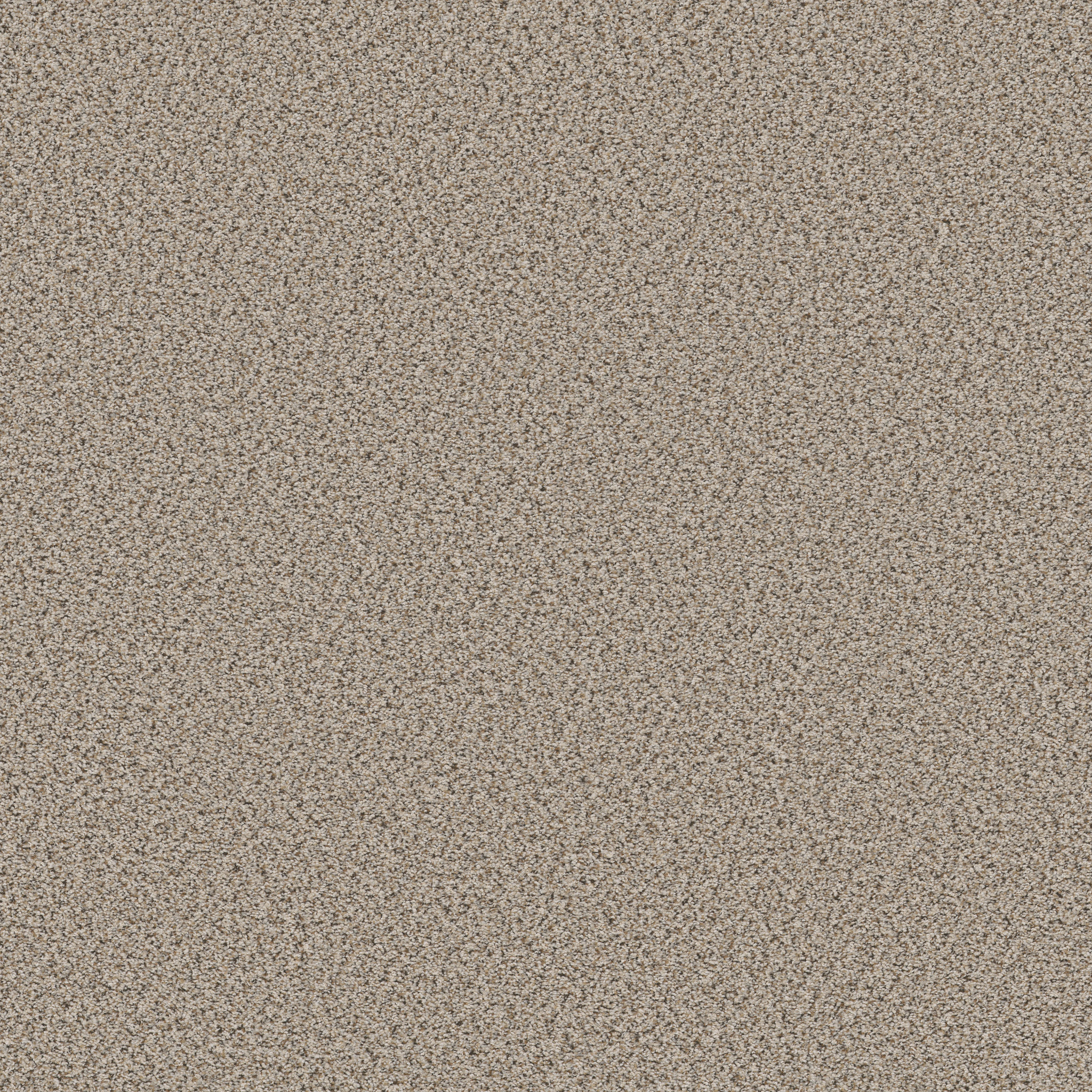 STRANDS OF NATURE I HORIZON MAIN