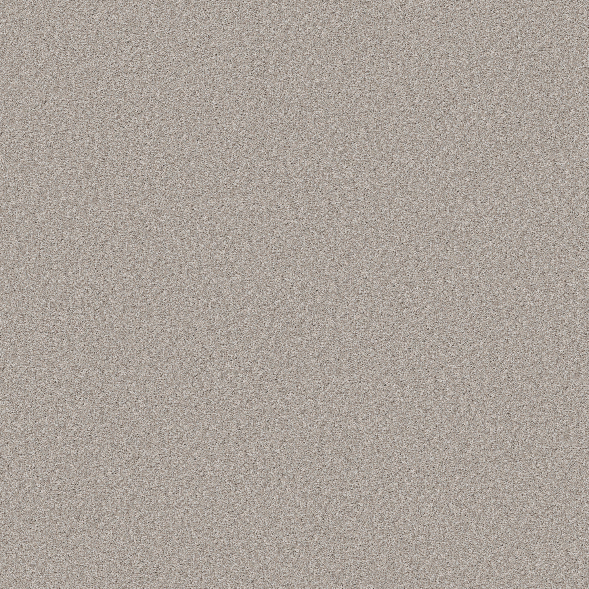 GOOD MOVE I DESERT LIGHT MAIN