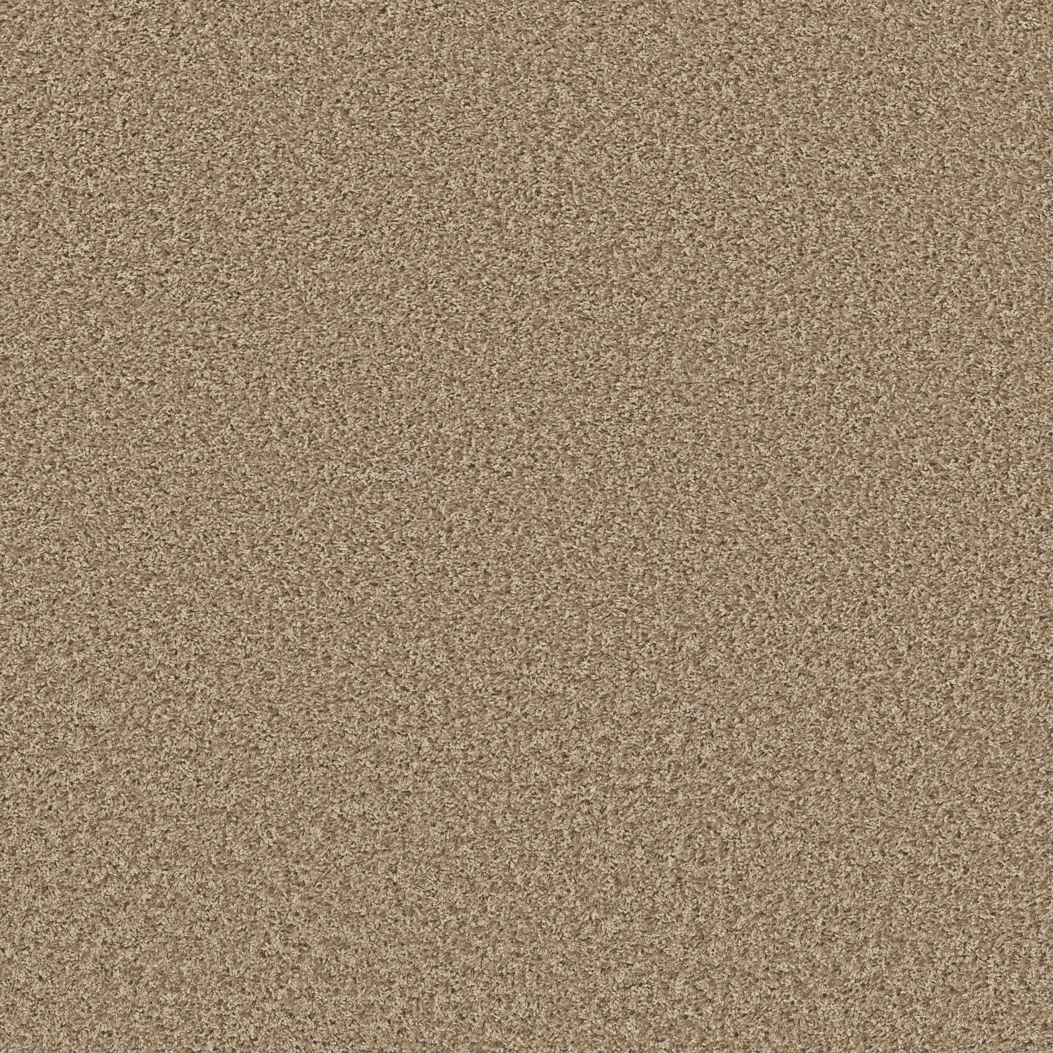 COOL FLAIR NATURAL WOOD MAIN