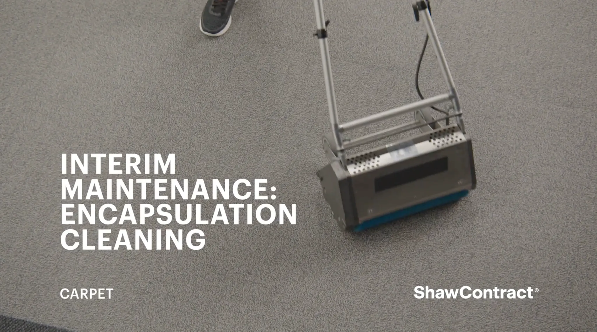 Carpet encapsulation cleaning demonstration