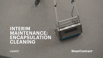 Effective carpet maintenance with encapsulation cleaning Carpet encapsulation cleaning demonstration