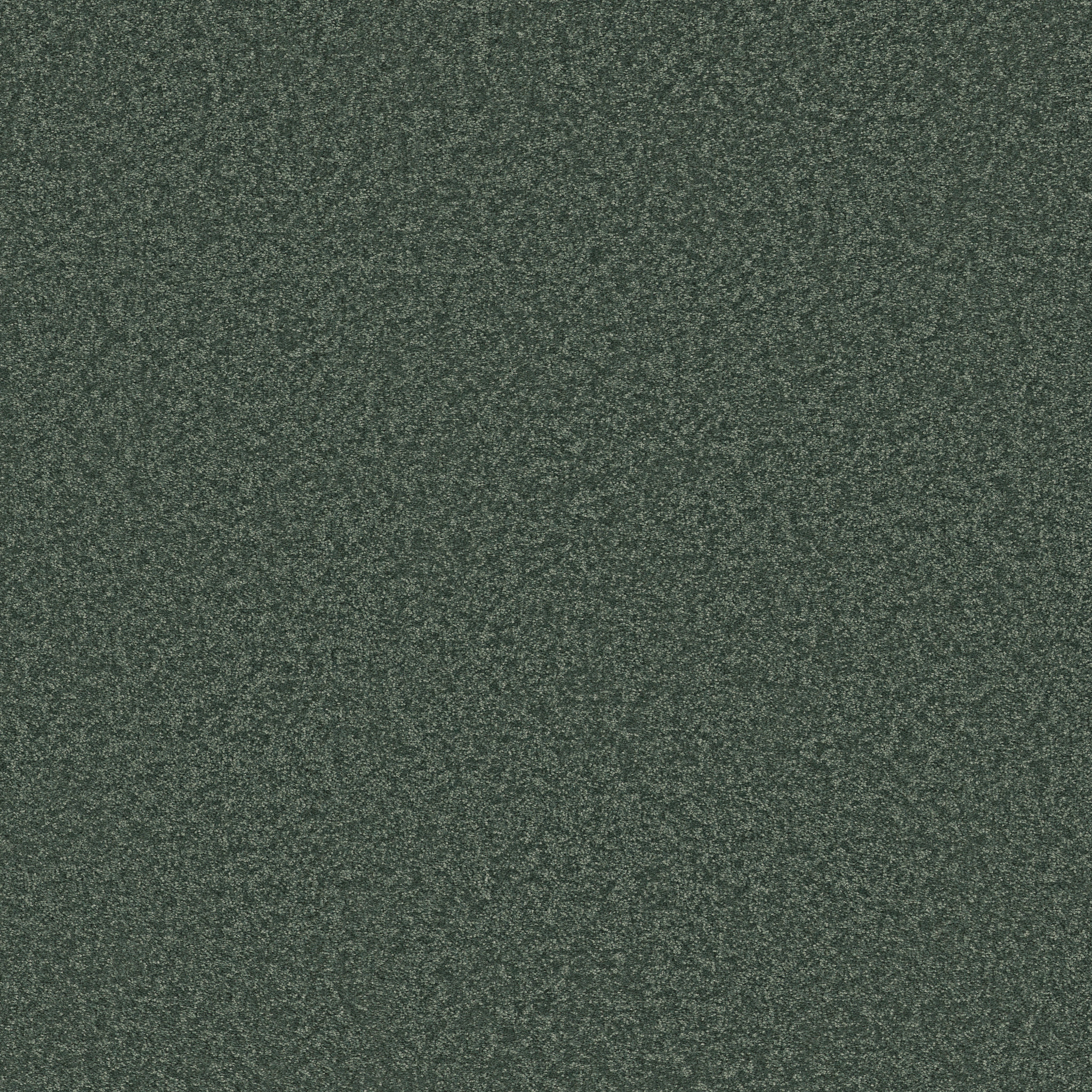 WAY TO GO III ECO GREEN MAIN