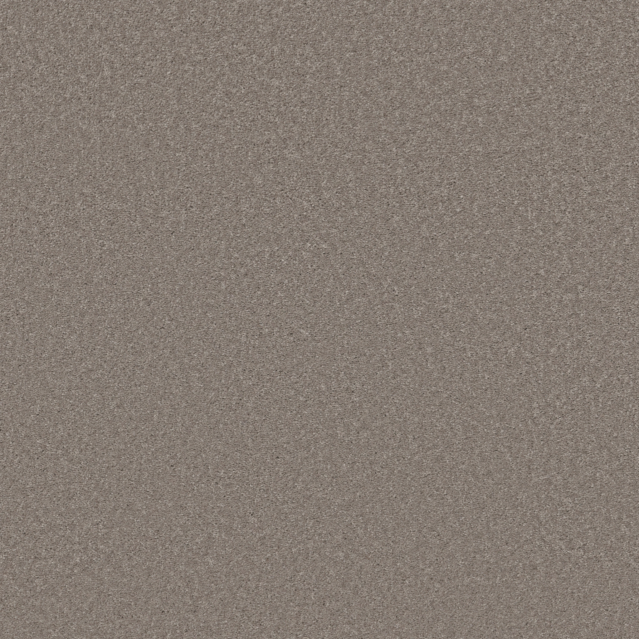 WELL MADE MOCHA FROST MAIN