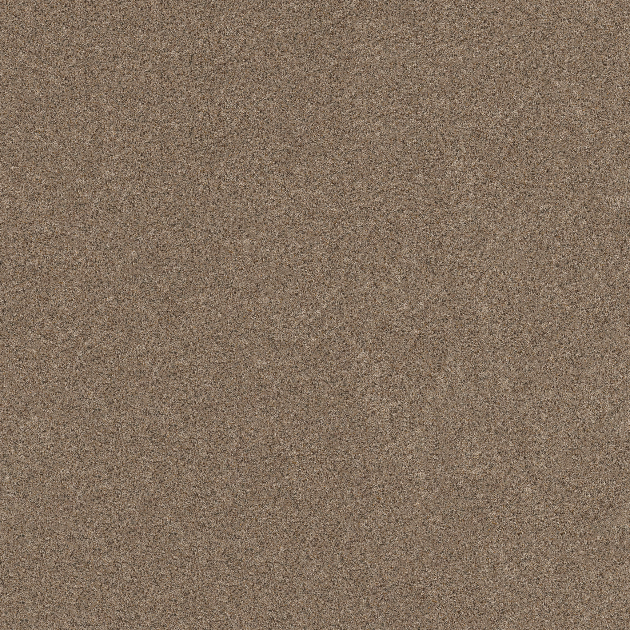 Topanga Canyon BUNGALOW MAIN