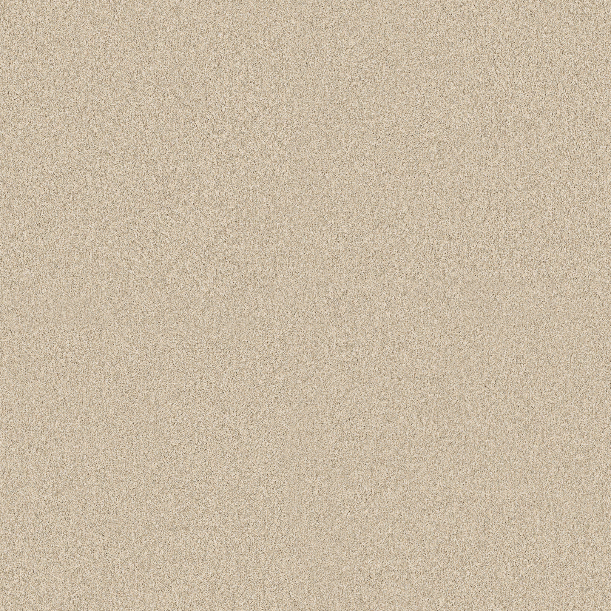 CLASSIC TONE SUMMERTIME MAIN