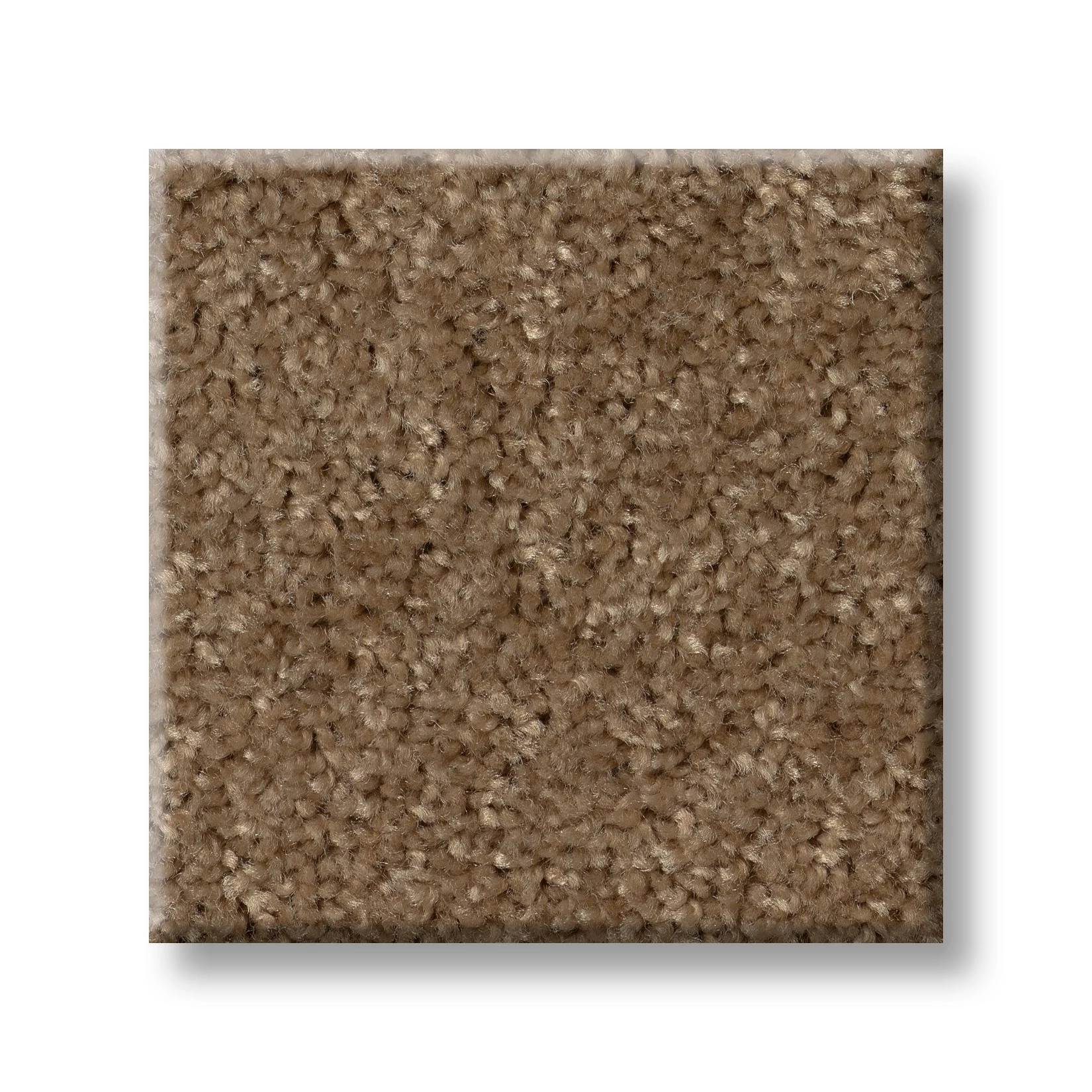 HOT TOPIC MEADOWLARK SWATCH