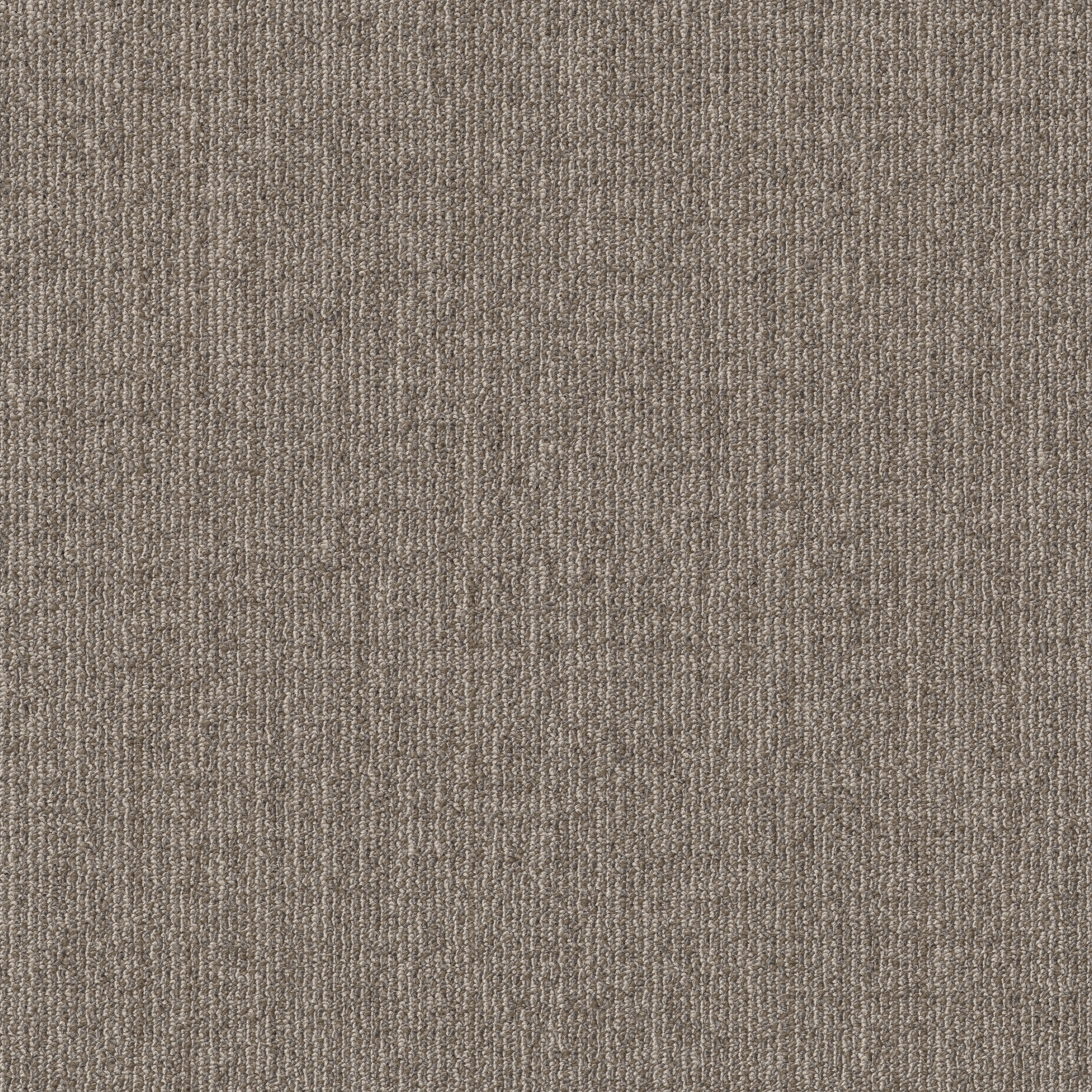 MUTED-RHYTHMS-TL-55013-ABALONE-00502-main-image